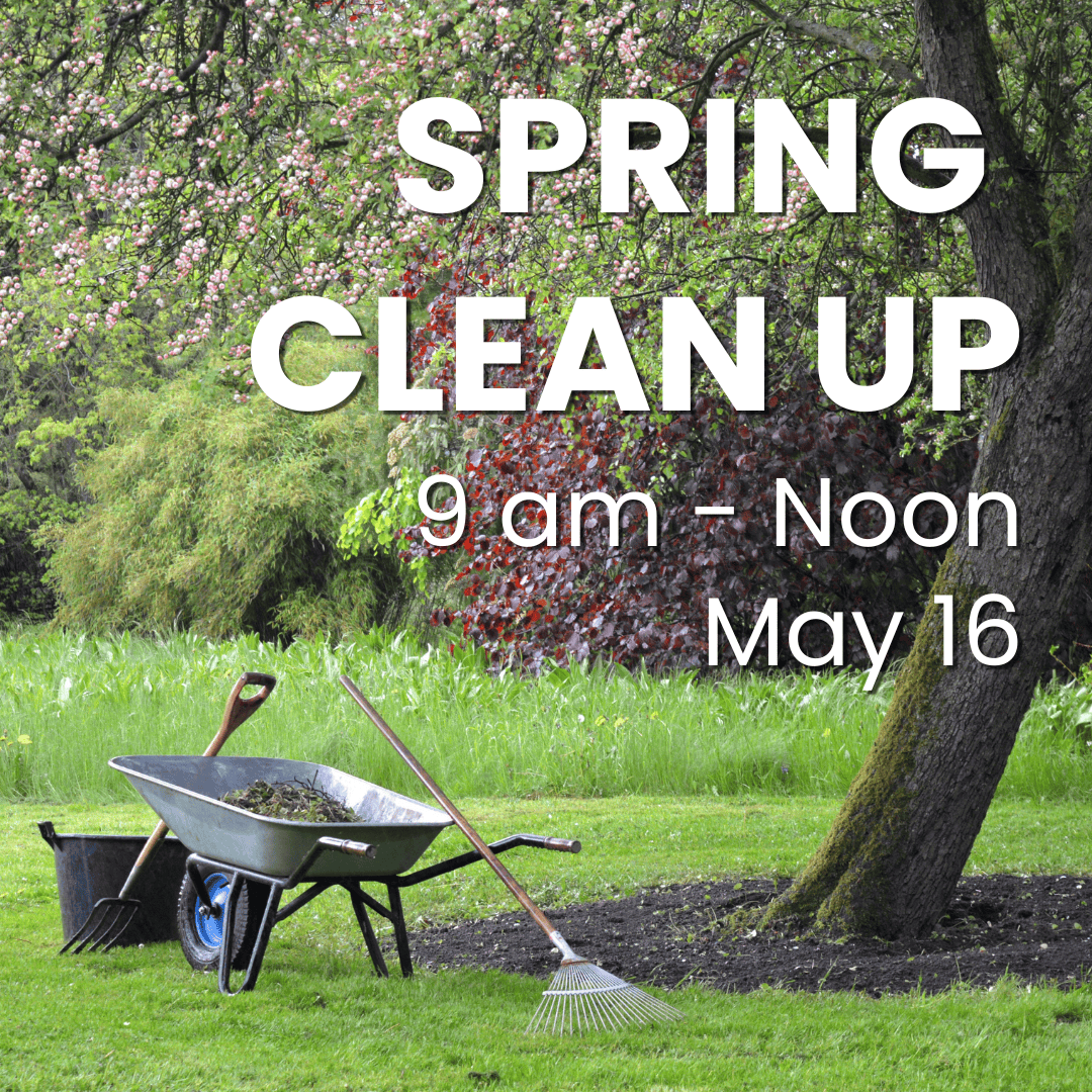 Spring Clean Up