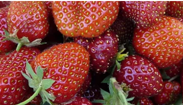 #5 STRAWBERRY - HANGING BASKET