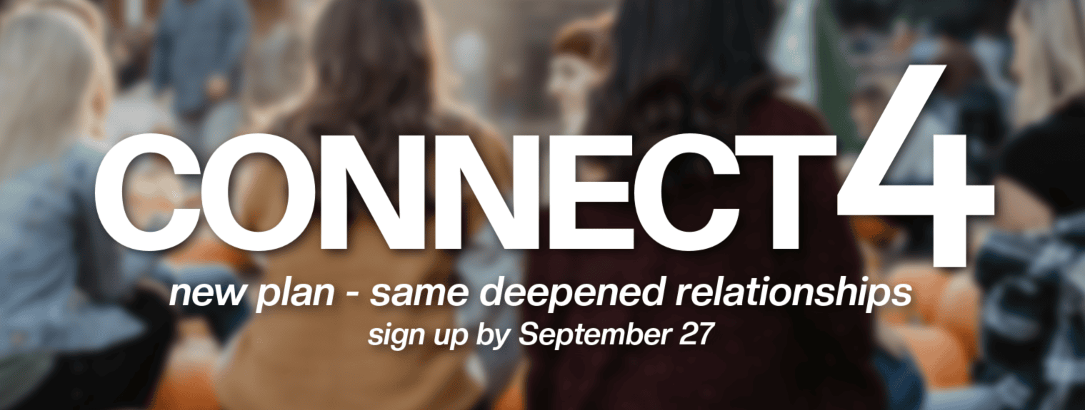 Connect Four Webslider (1).png