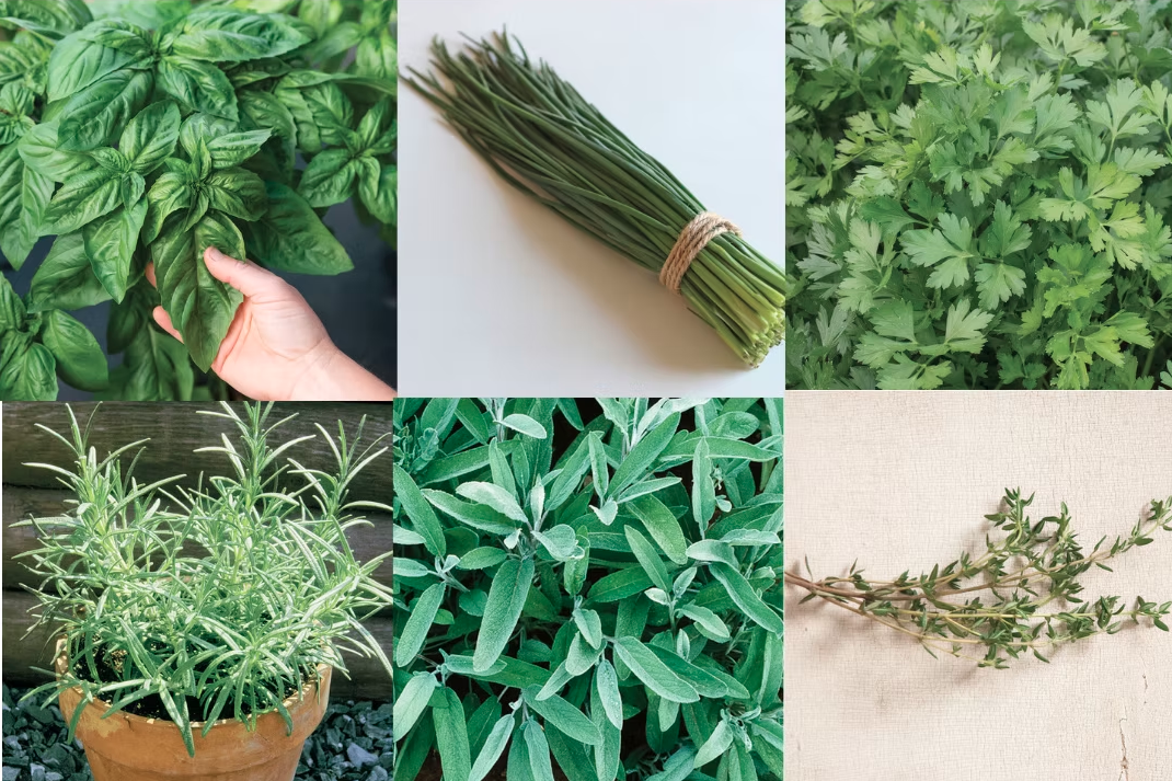 13. CULINARY HERB MIX