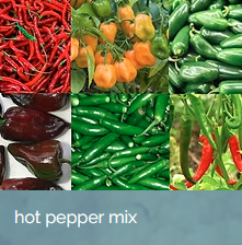 HotPepperMix.png (Copy)
