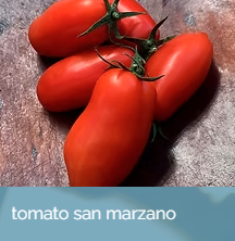 TomatoSanMarzano.png