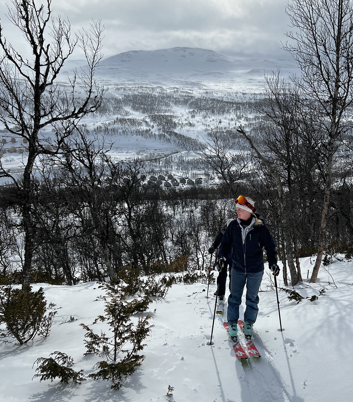 En person som åker skidor i snöklädd skog med en bergig, snöig landskap i bakgrunden.