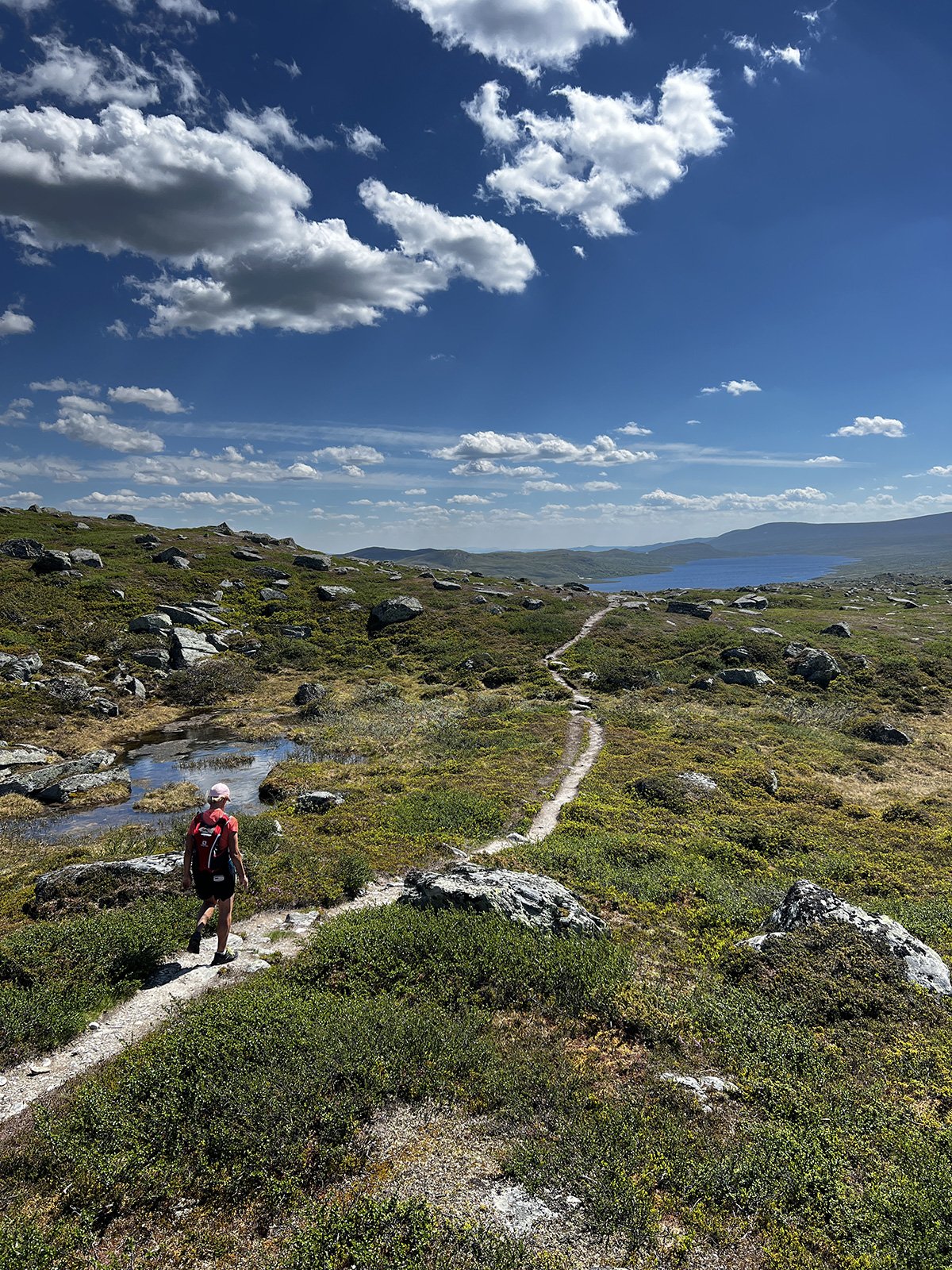 En person med ryggsäck vandrar på en smal stig genom ett bergslandskap med gröna buskar, stenar och ett litet vattenhål, under en klarblå himmel med spridda moln, nära en fjord i Norge.