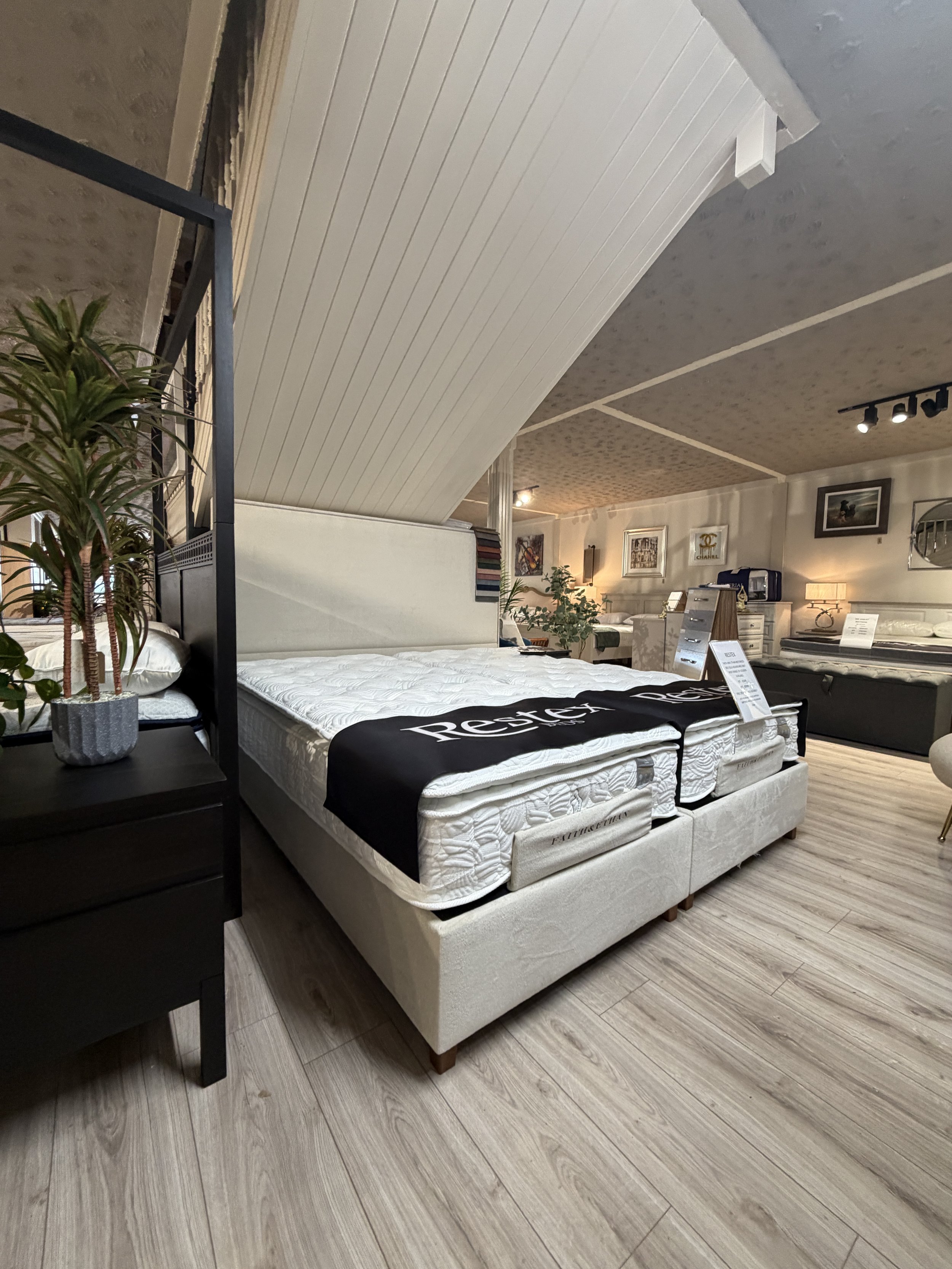 F&E Motorised Bed (1).JPG (Copy)