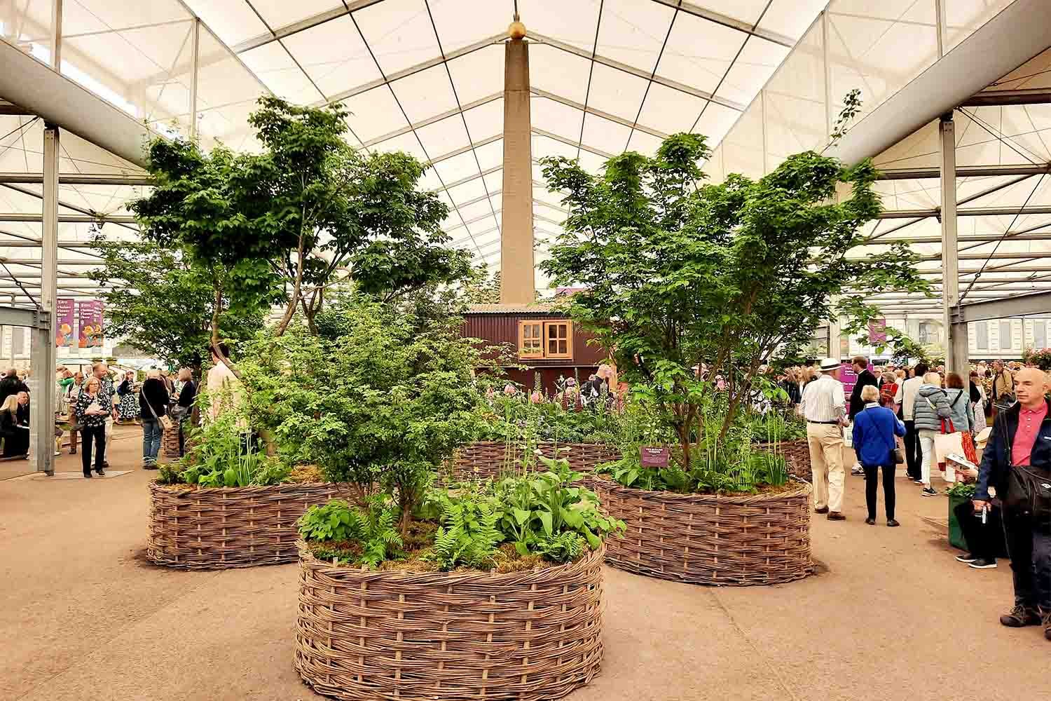 Mollie wove over 120 meters of willow panels and planters for the Chelsea Flower Show 2023.  The garden was commisioned by the RHS and designed by PollyAnna Wilkinson to celebrate Women in Horticulture.