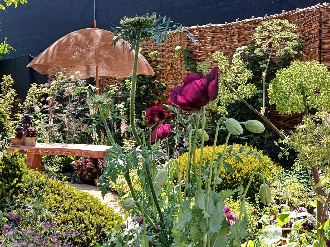 Willow panels woven by Mollie for the ADHD Foundation Garden at Chelsea Flower Show 2025.  This garden was designed by Katy Terry of Good Grounding Garden Design winning a Silver Guilt Award at her first Chelsea apperance! 