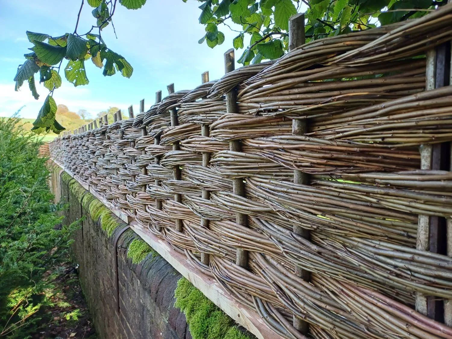Woven fencing along existing wall to provide screening and wind barrier.
