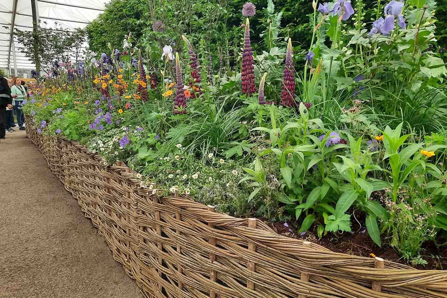 Mollie wove over 120 meters of willow panels and planters for the Chelsea Flower Show 2023.  The garden was commisioned by the RHS and designed by PollyAnna Wilkinson to celebrate Women in Horticulture.