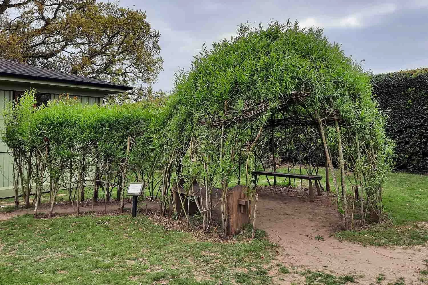 living willow dome structure