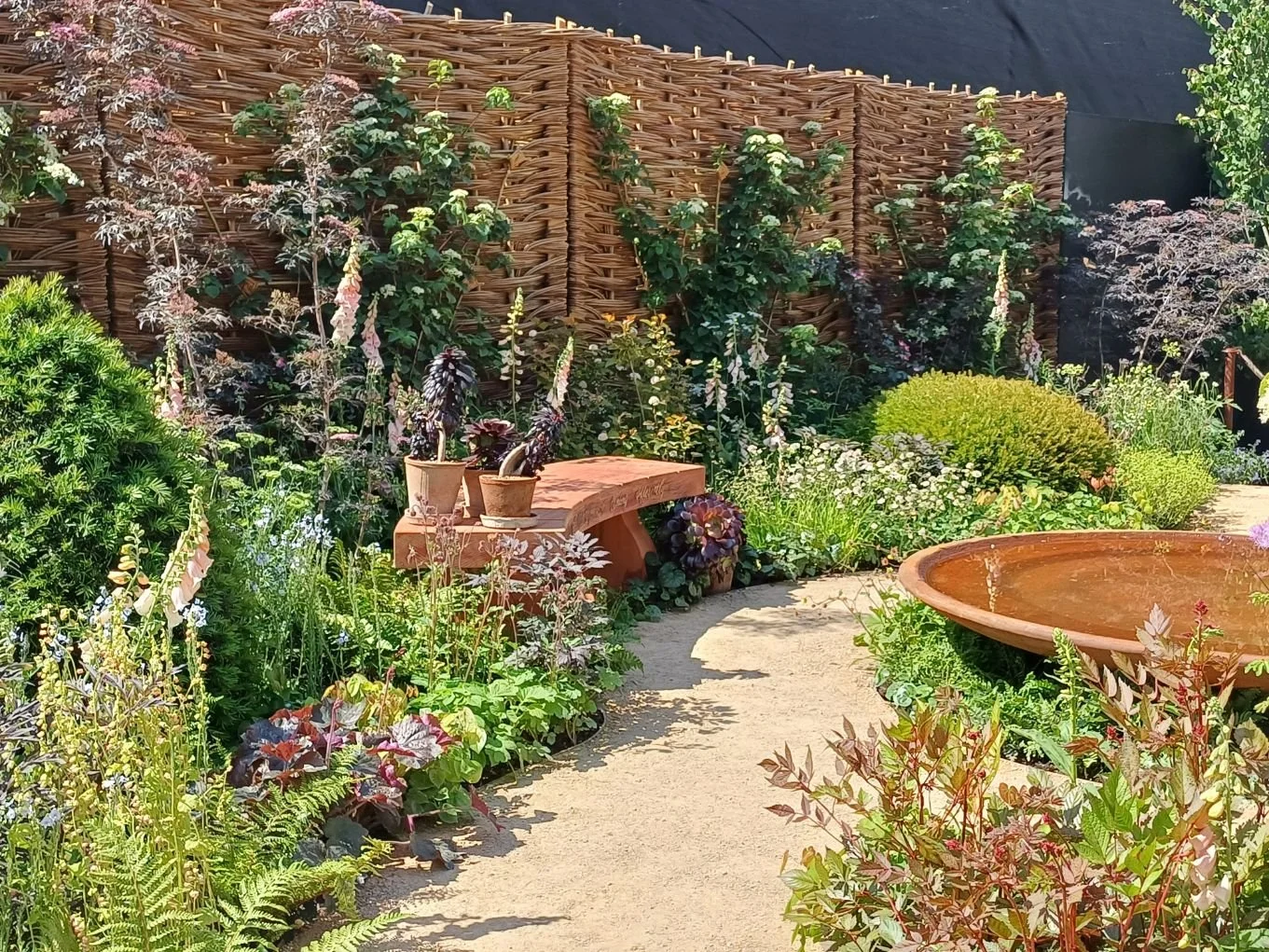 Willow panels woven by Mollie for the ADHD Foundation Garden at Chelsea Flower Show 2025.  This garden was designed by Katy Terry of Good Grounding Garden Design winning a Silver Guilt Award at her first Chelsea apperance! 