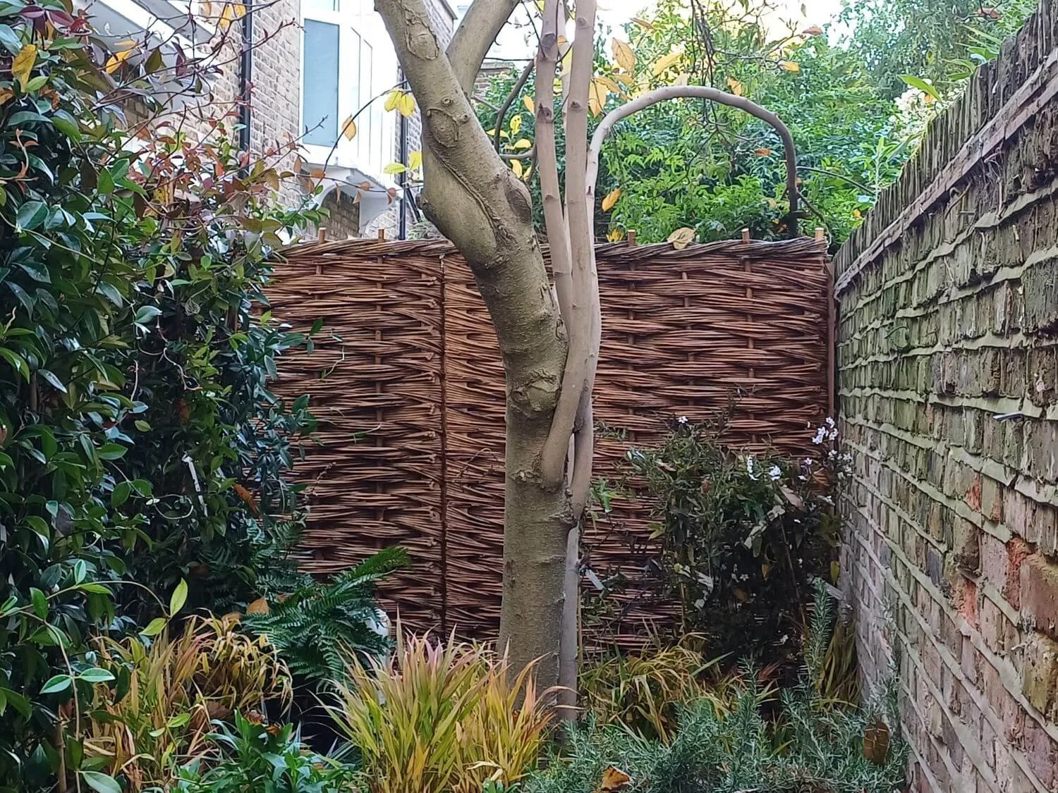 Woven willow panelling in London town house garden