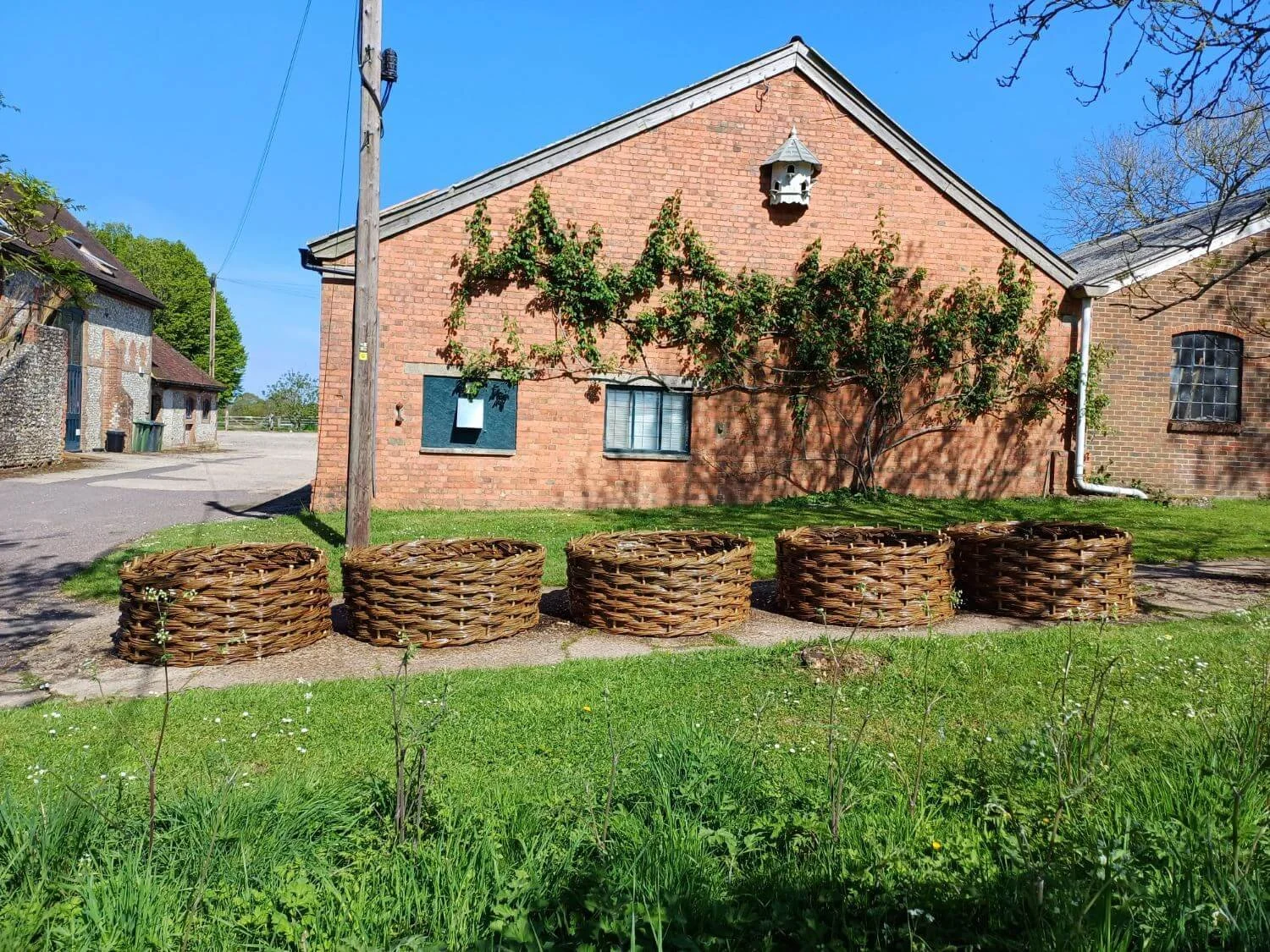 circular woven willow planters 
