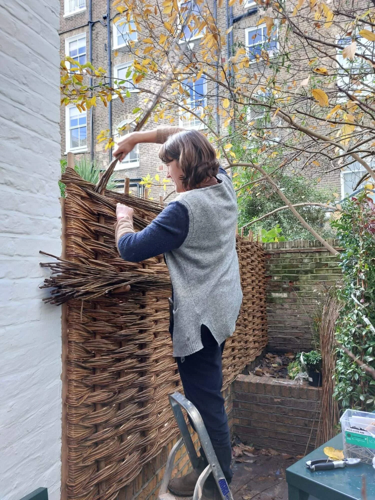 Mollie weaving border on fence panelling in city garden.