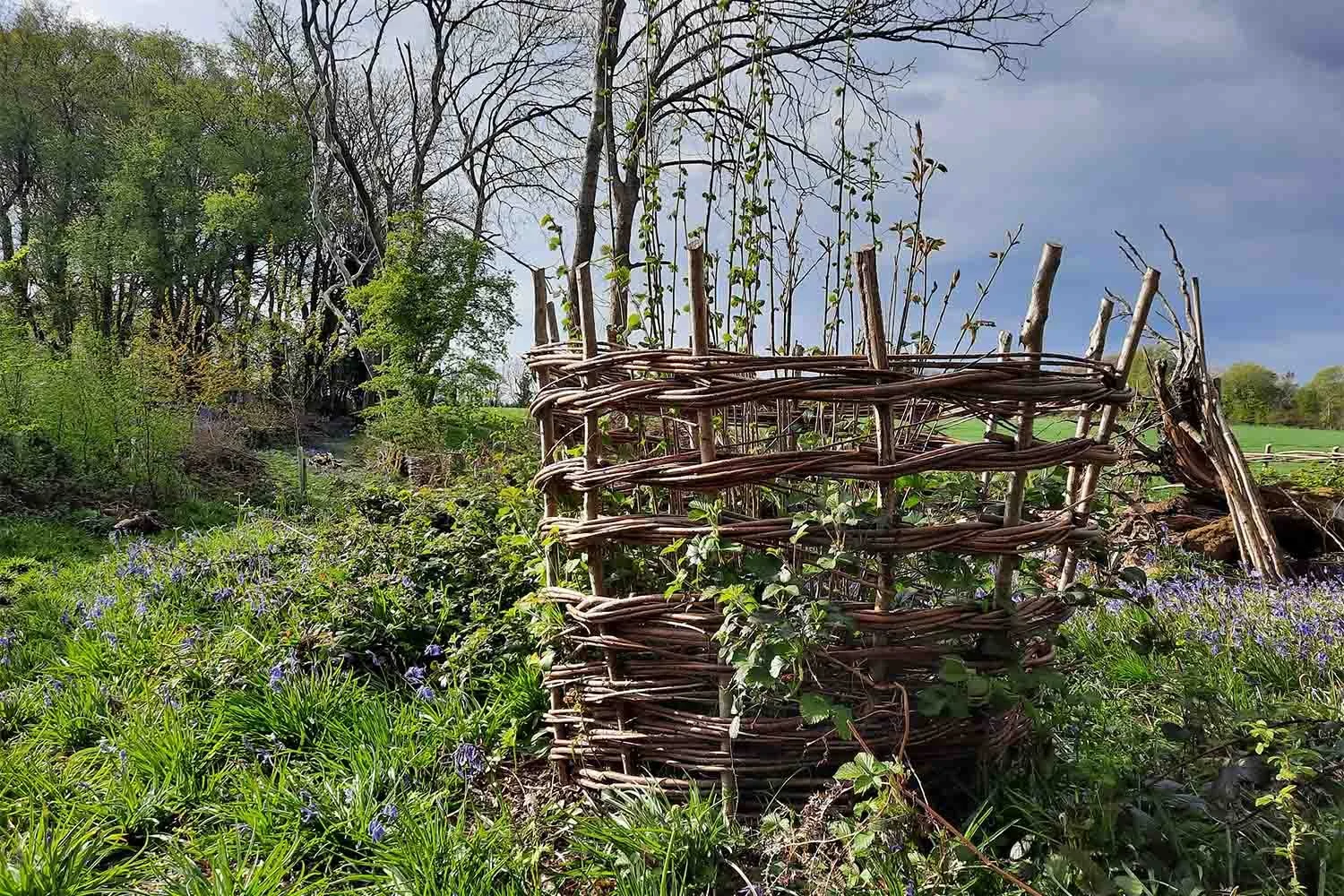 woven willow plant structure