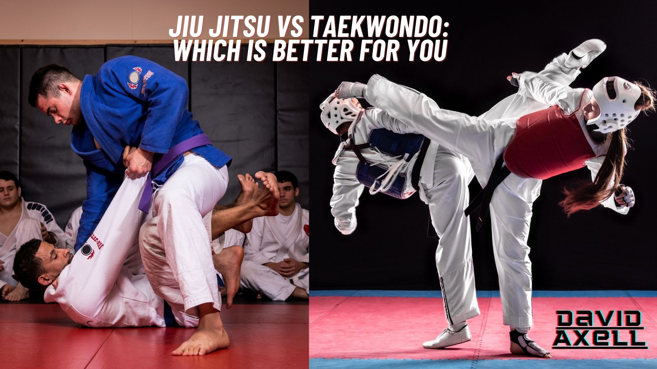 Jiu Jitsu vs Taekwondo Breaking Down The Differences & Which Is Better