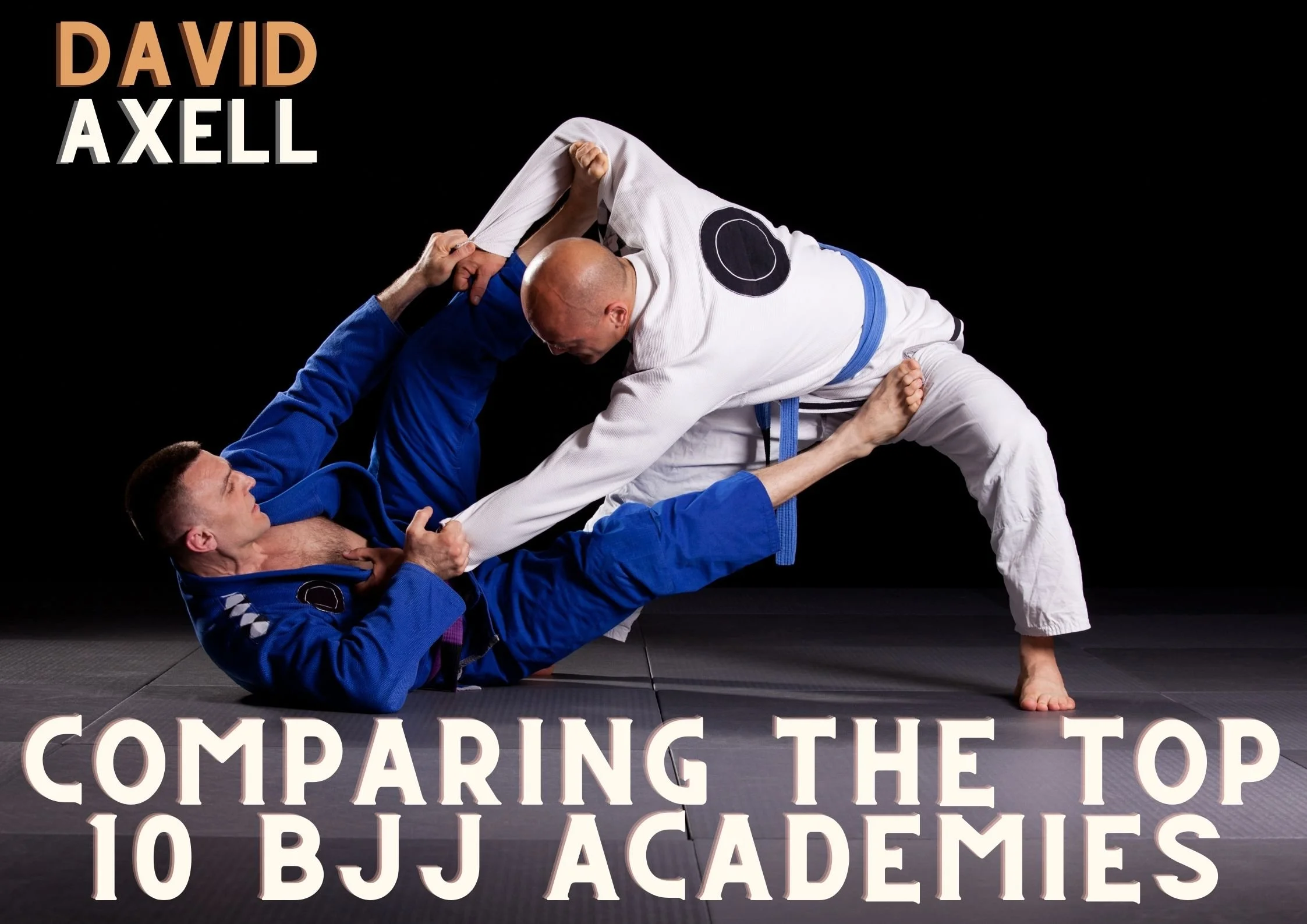 The Top 10 Best Brazilian JiuJitsu Academies in Sioux Falls, SD