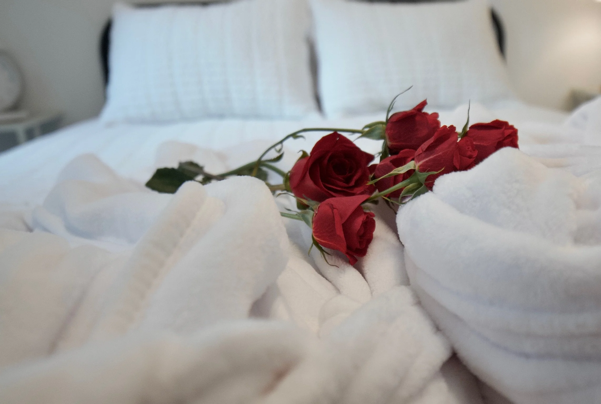 A bouquet of red roses resting on a white bed with folded white towels and pillows in the background.