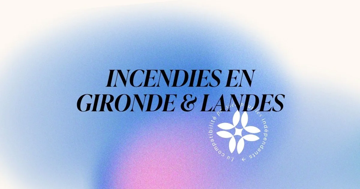 Incendies en Gironde et dans les Landes : quelles aides pour les entreprises impactées ?