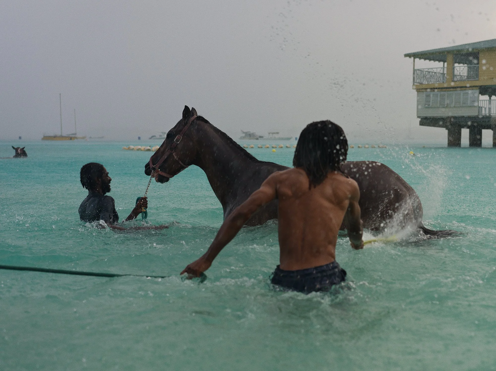 Carlisle, Barbados 4