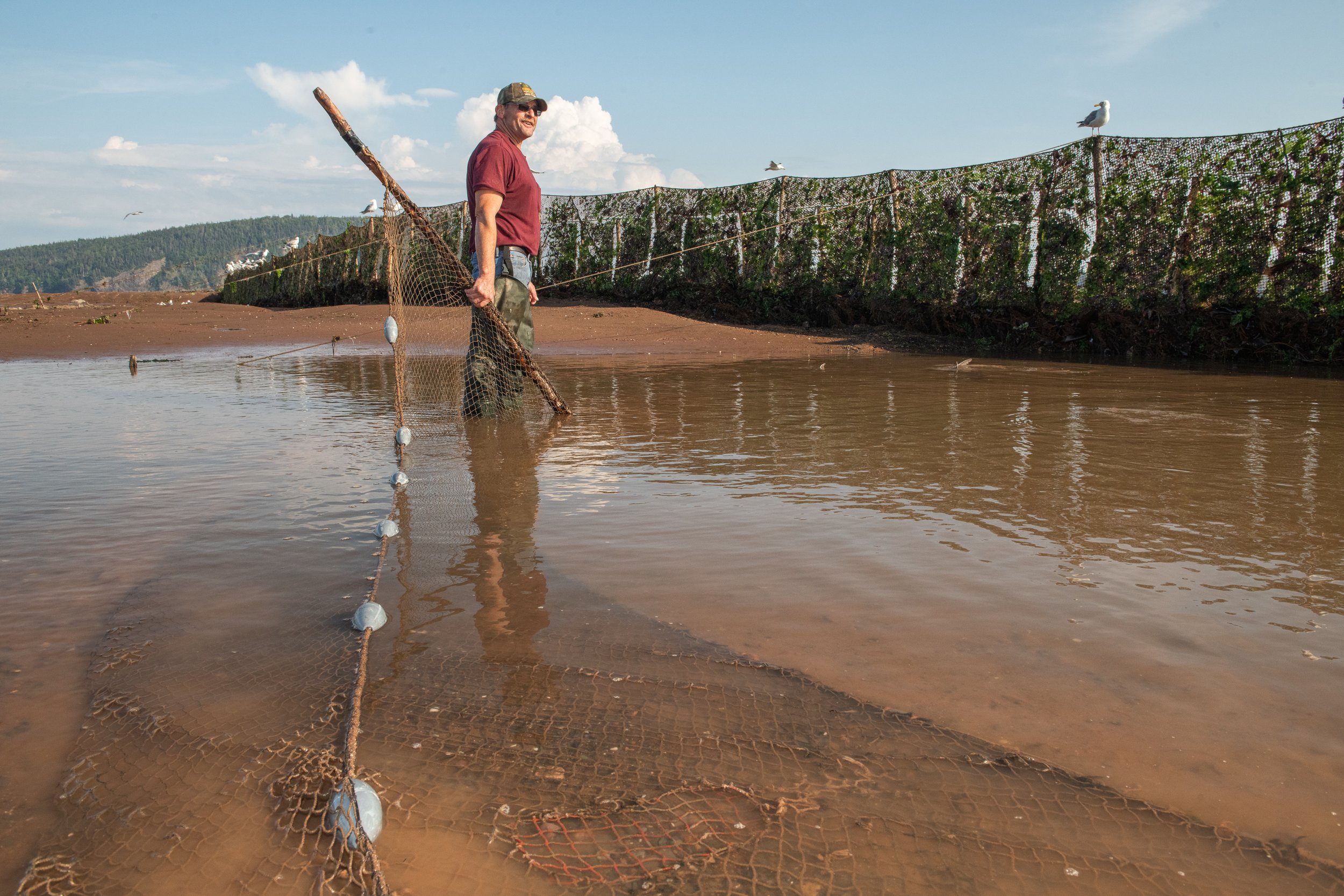 Tony Lewis’ weir in Five Islands, Nova Scotia has been in continuous operation since the mid 19th century. His is one of the last traditional weirs in the Minas Basin.