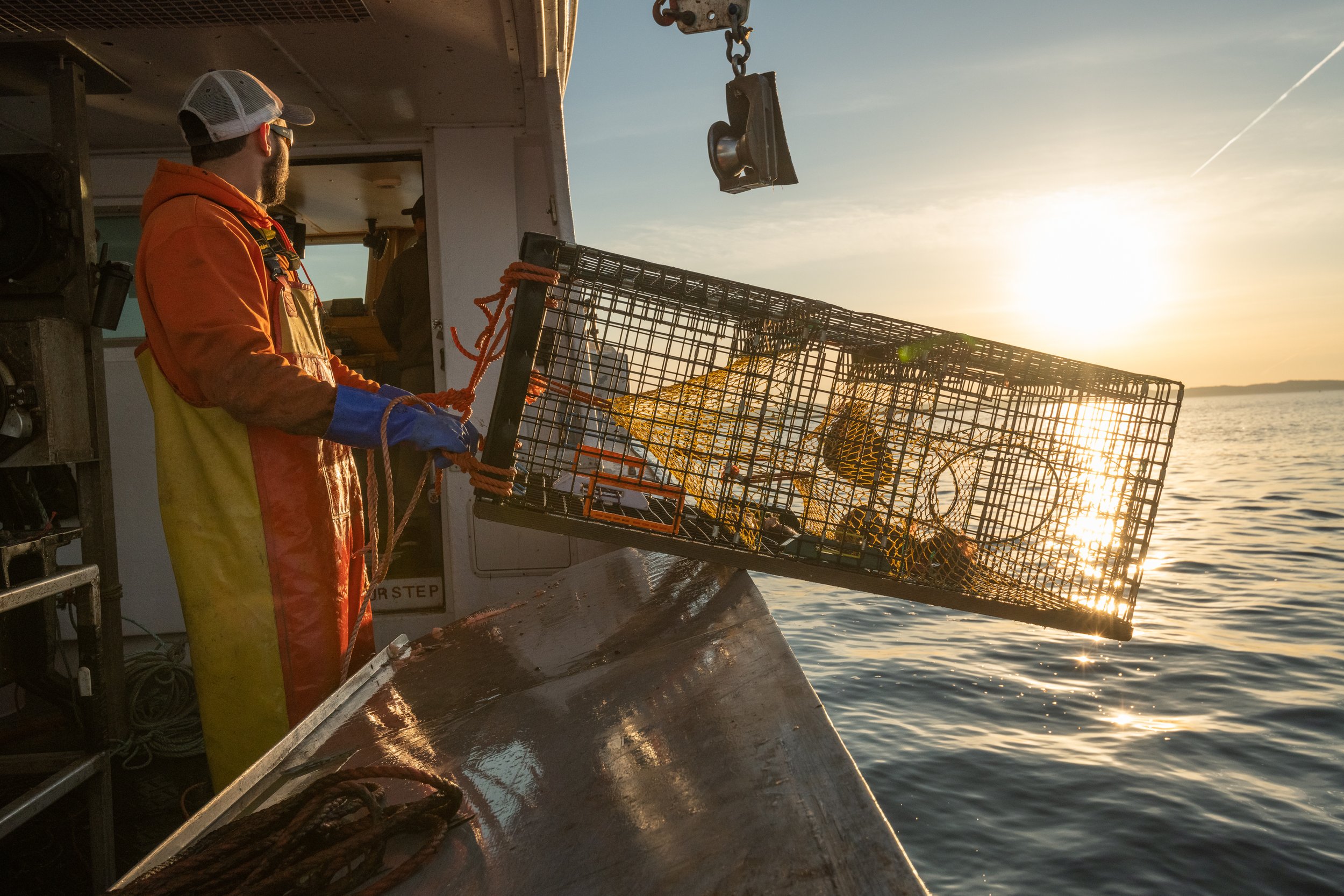 A lobster fisherman prepares to set a lobster trap in the Bay of Fundy, Canada. The decline of fin fish in recent decades has led to a rapid increase in the value and importance of lobster and crab fisheries throughout the Northwestern Atlantic.