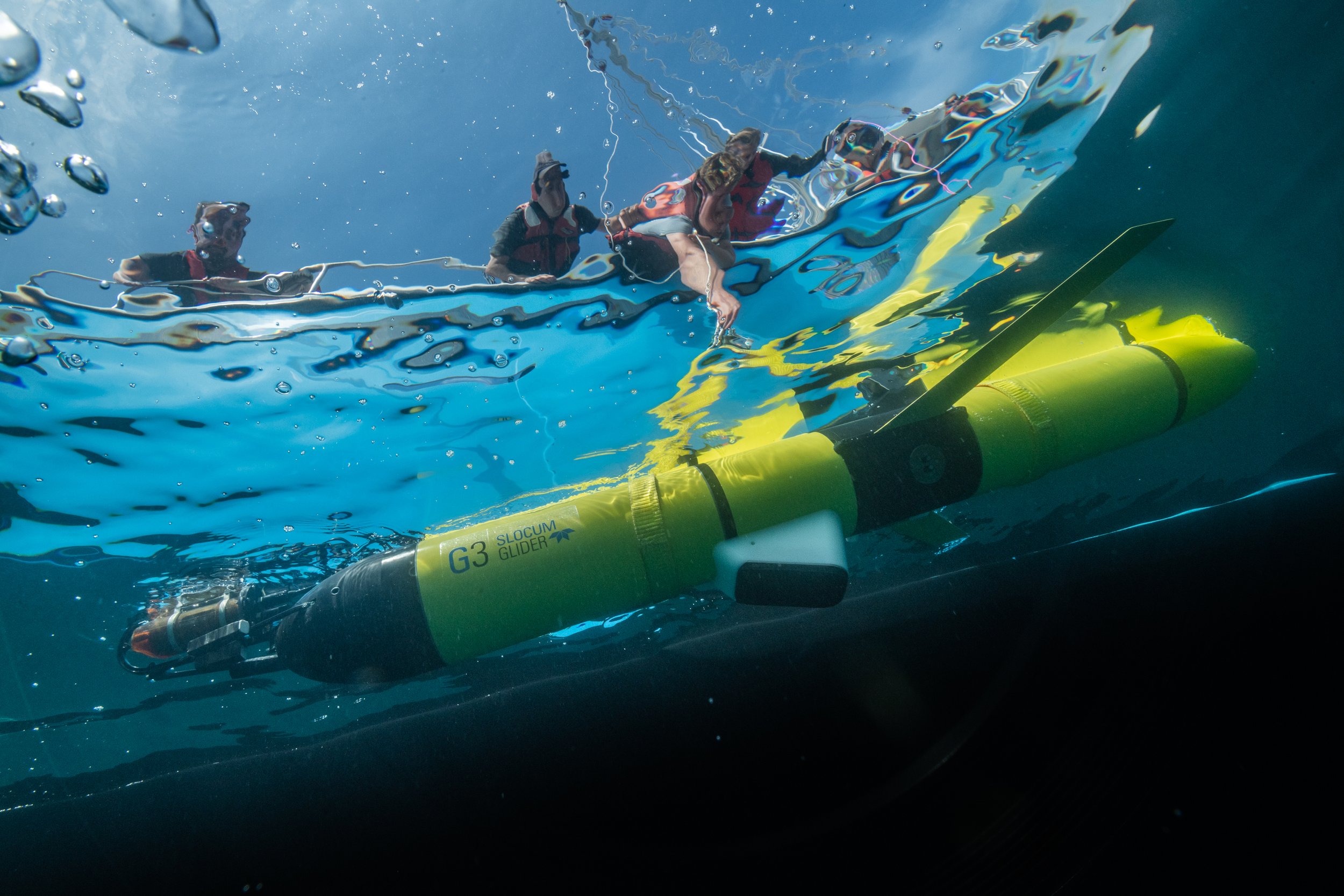 The Ocean Tracking Network (OTN) deploys an autonomous glider off Halifax, Nova Scotia. The gliders provide oceanographic data and record the presence of right whales by listening for their vocalizations. This information helps researchers to underst