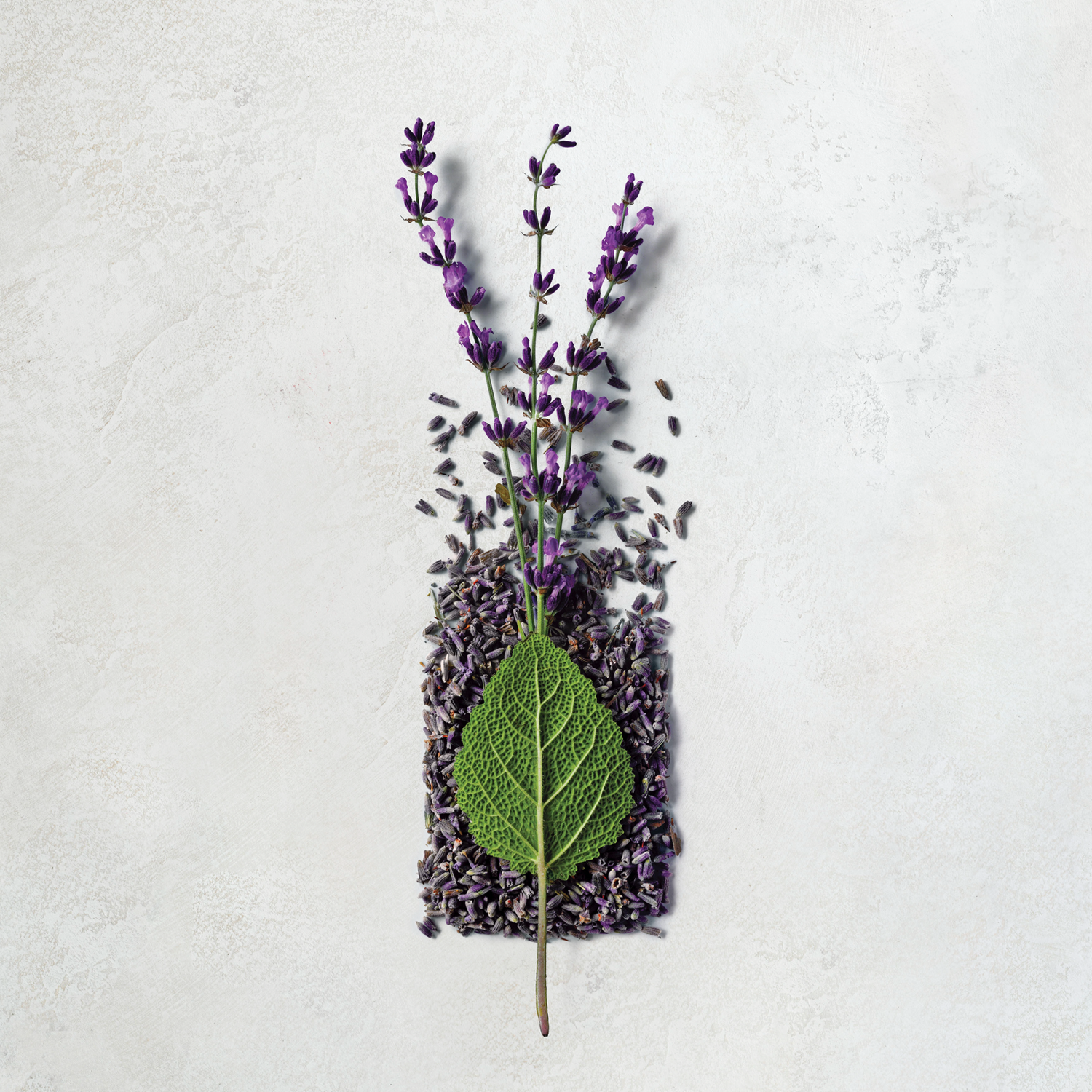 Aveda_Stressfix_7.png
