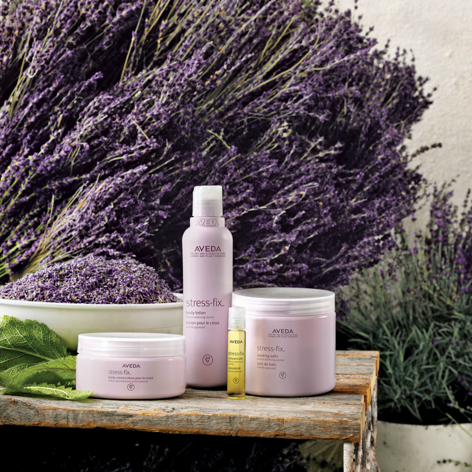 Aveda_Stressfix_3.png
