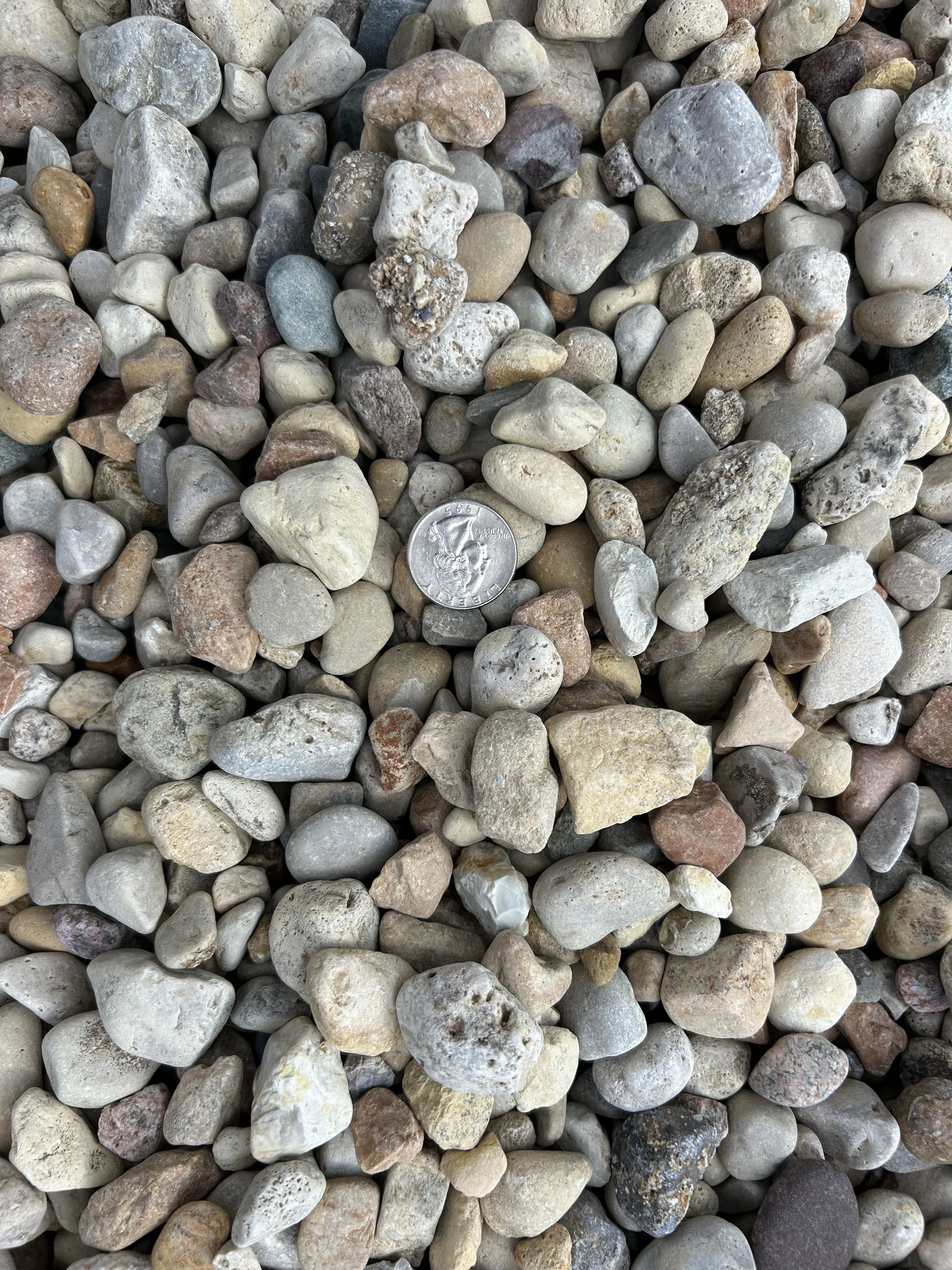 Pond Pebbles.JPG