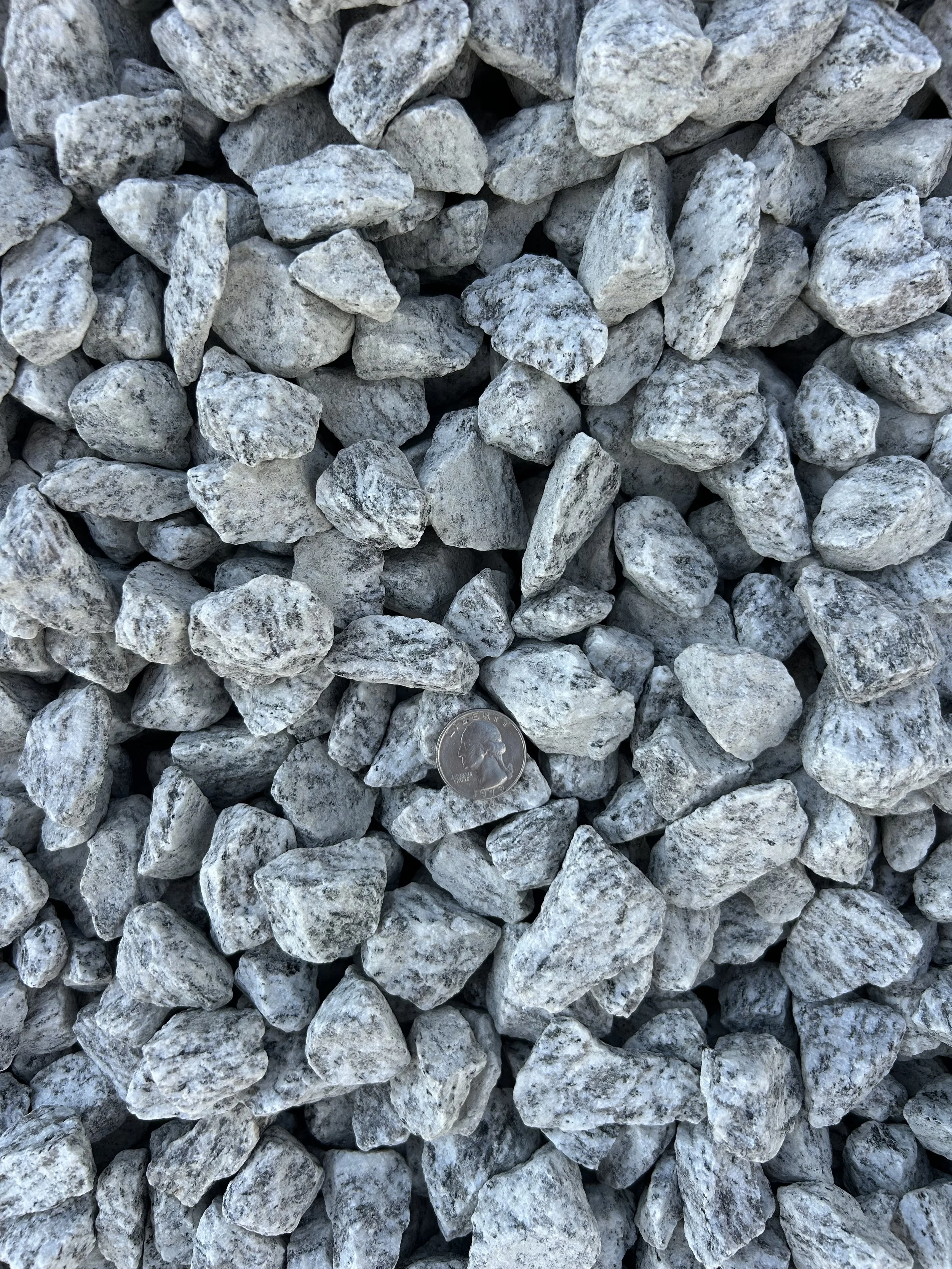 Zebra Stone - Shade.JPG