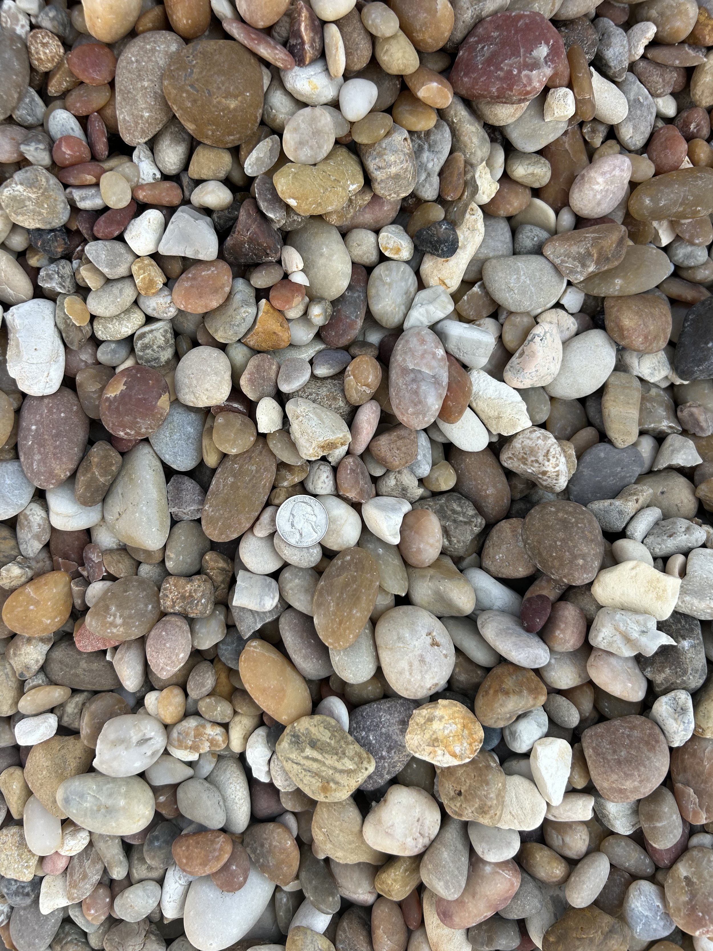 Alabama Sunset - Shade.JPG