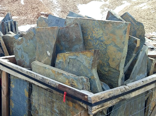 xylem flagstone 2.png