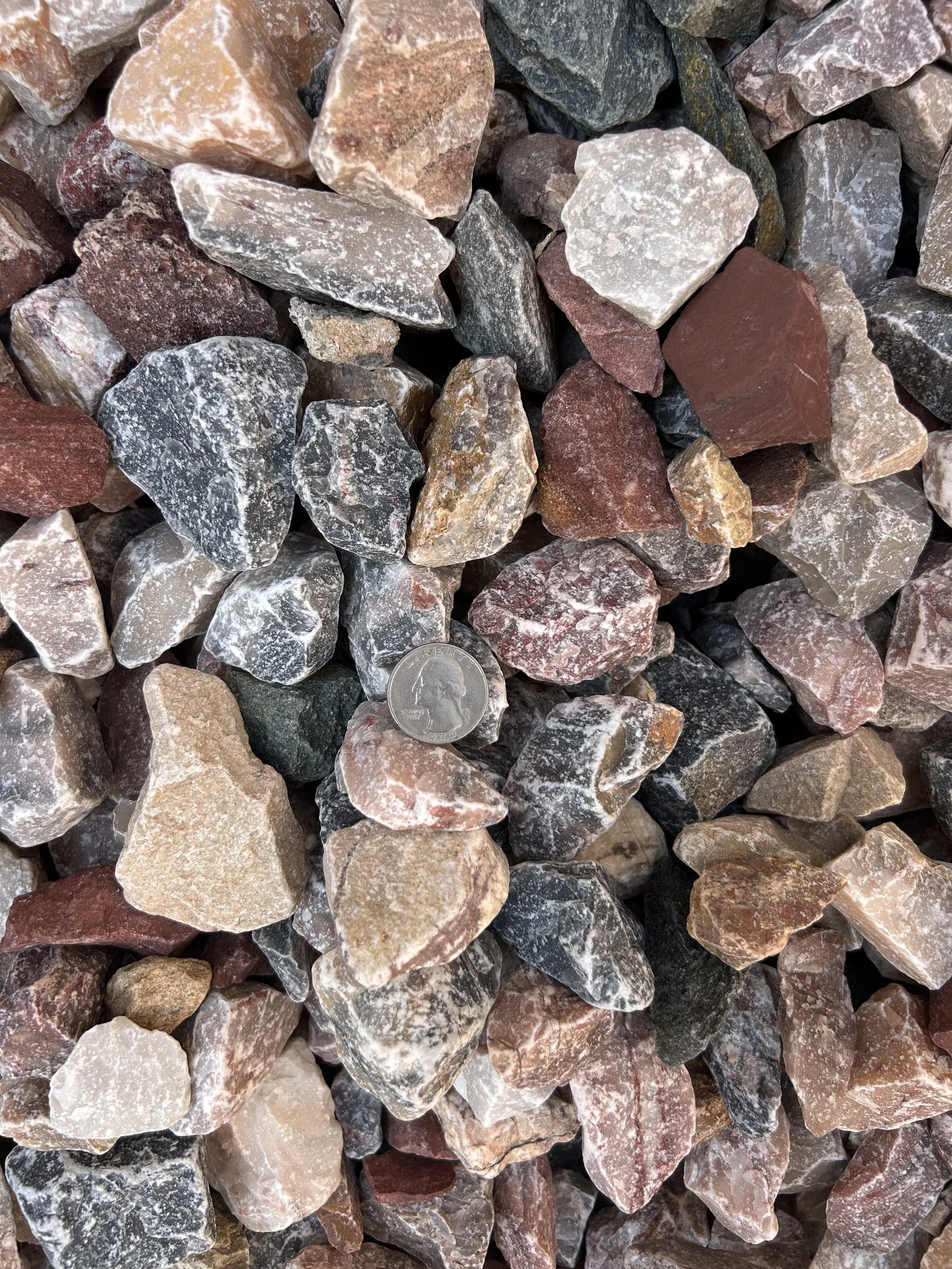 Mountain Blend - Shade.JPG