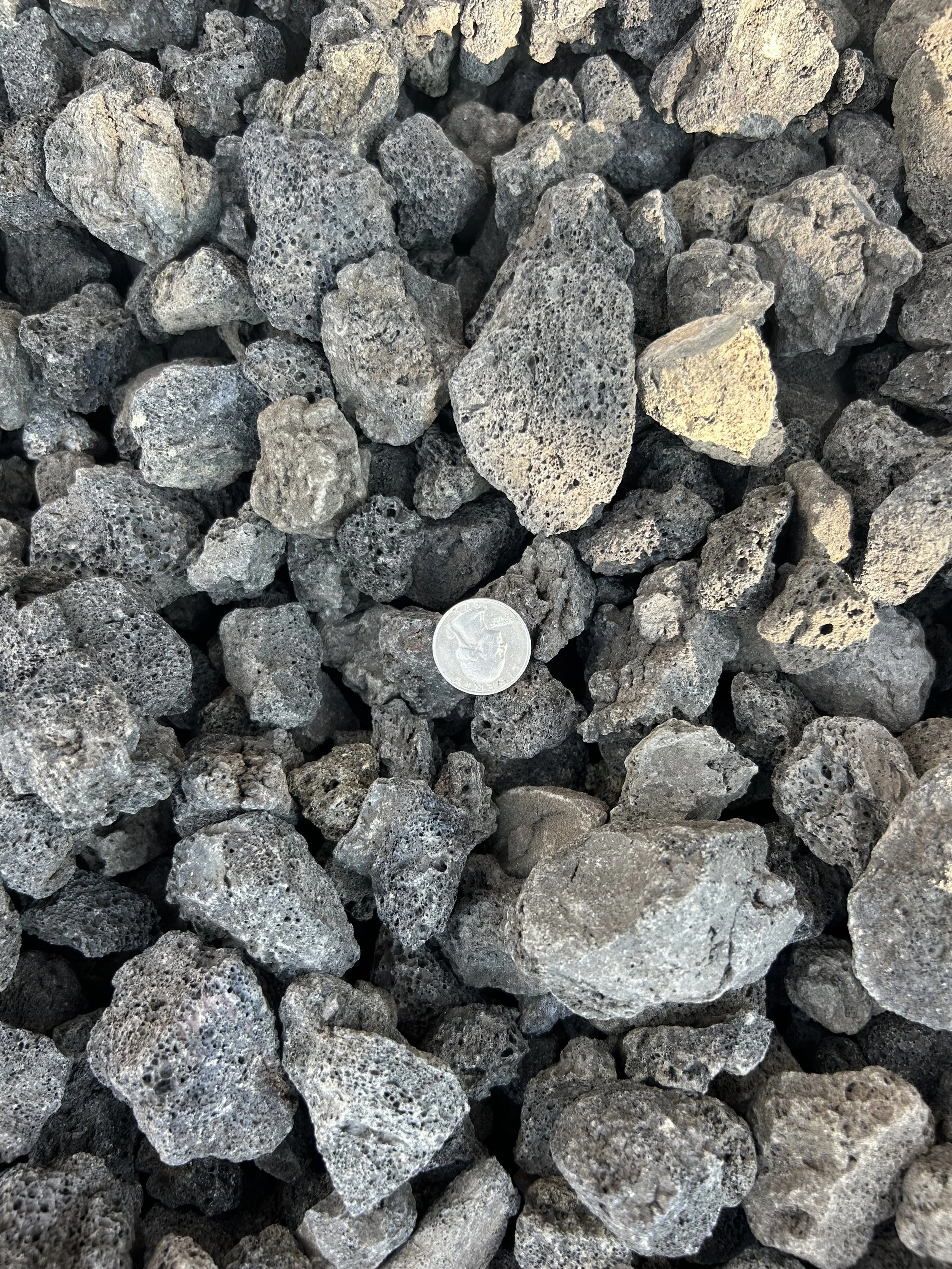 Black Volcanic - Shade.JPG