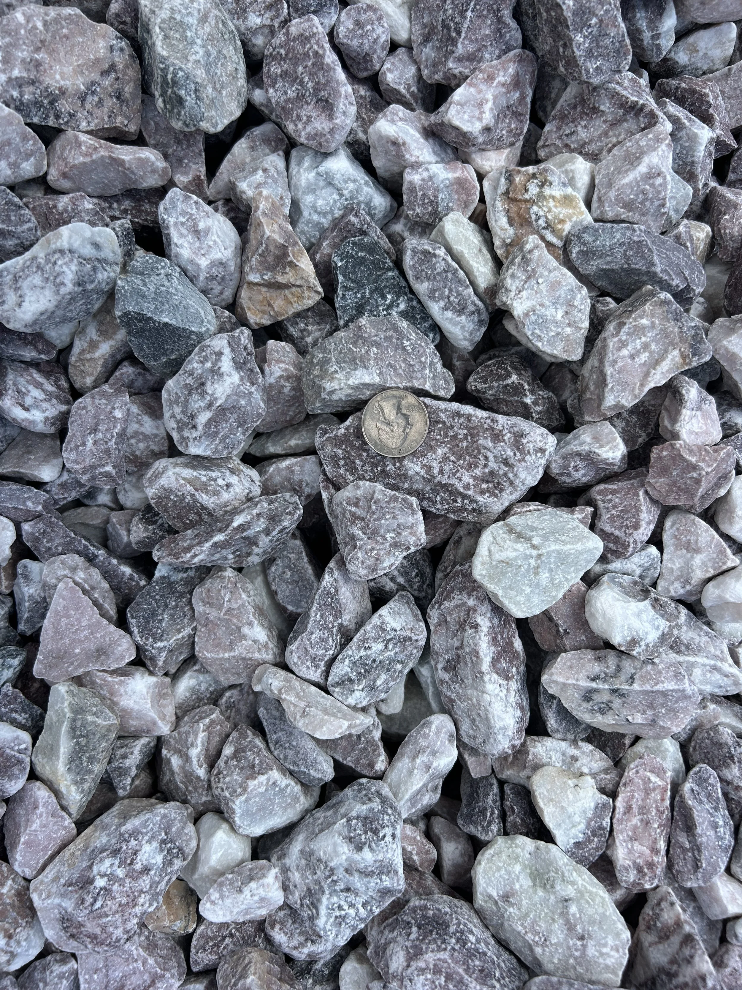 Arctic Rainbow - Shade.JPG