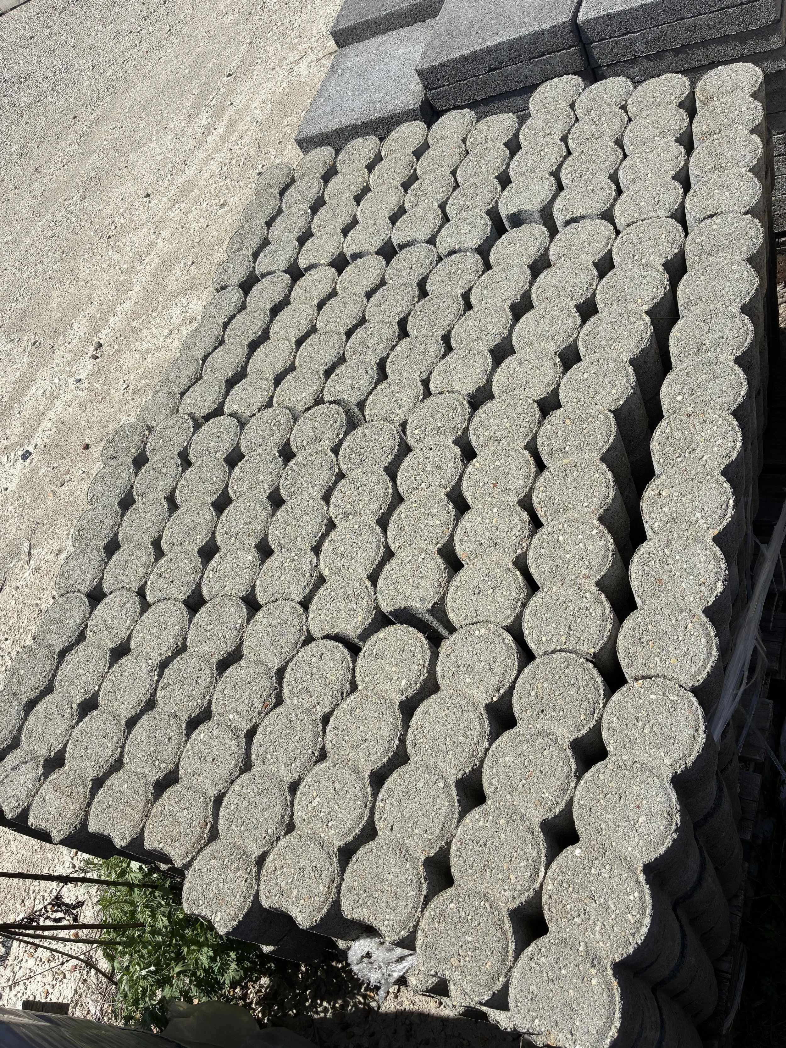 Centipede Gray Edger