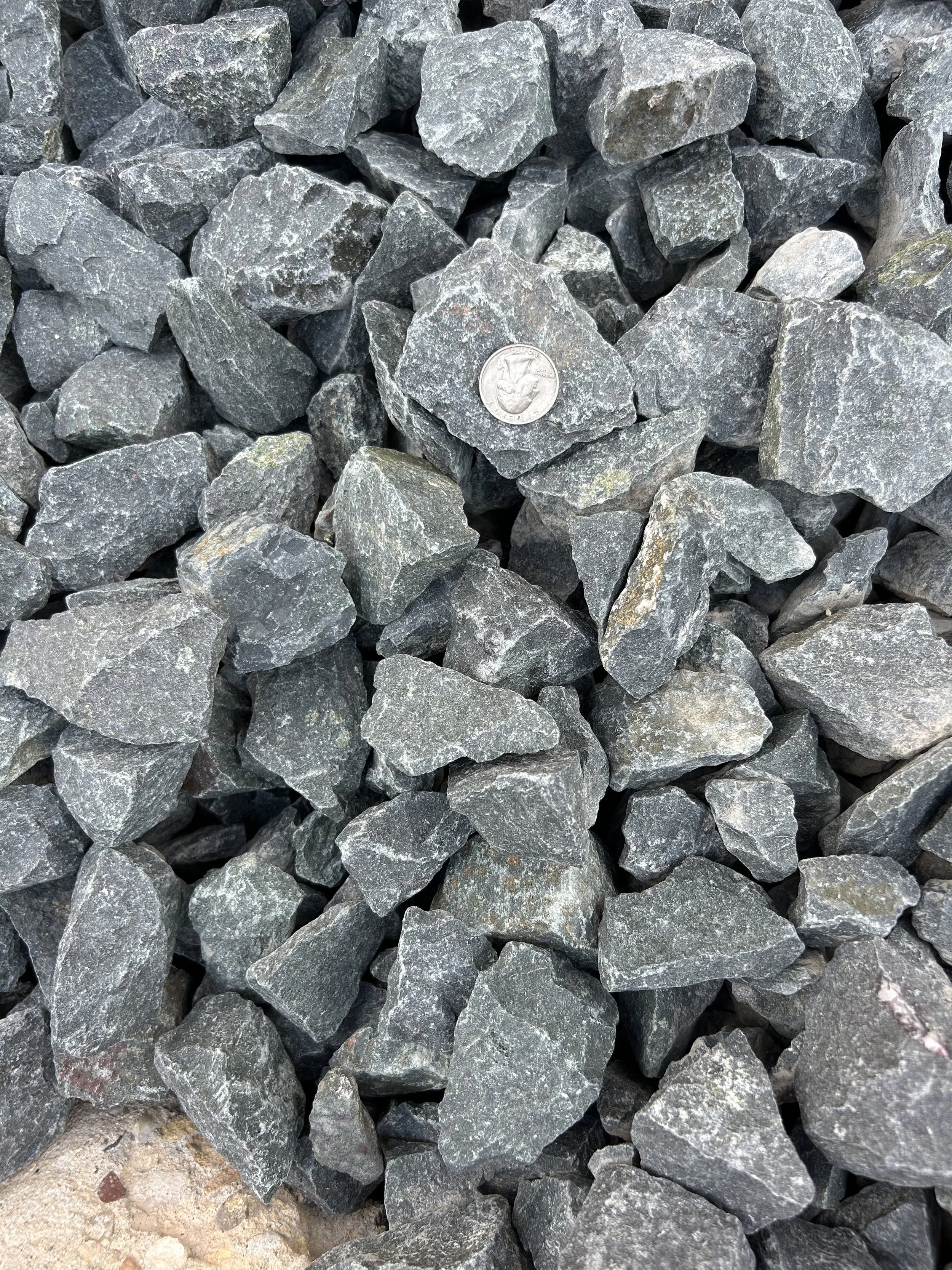 Midnight Trap - Shade.JPG