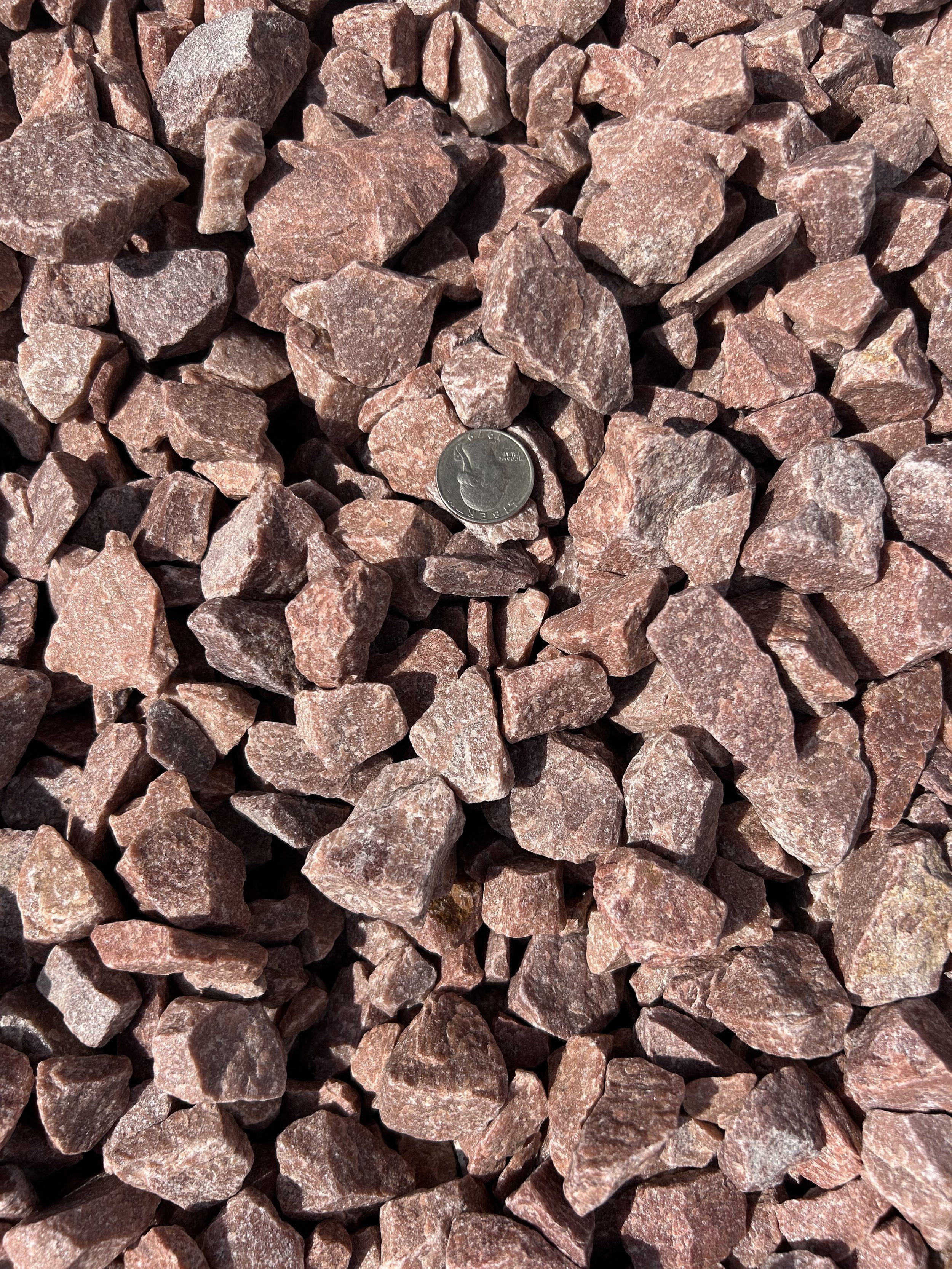 Pink Blush Lg - Shade.JPG