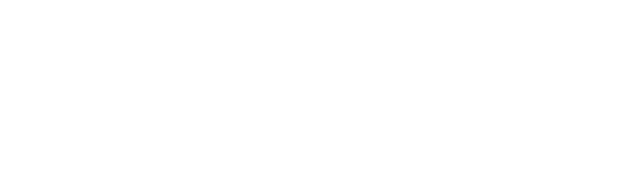 Logo V&O