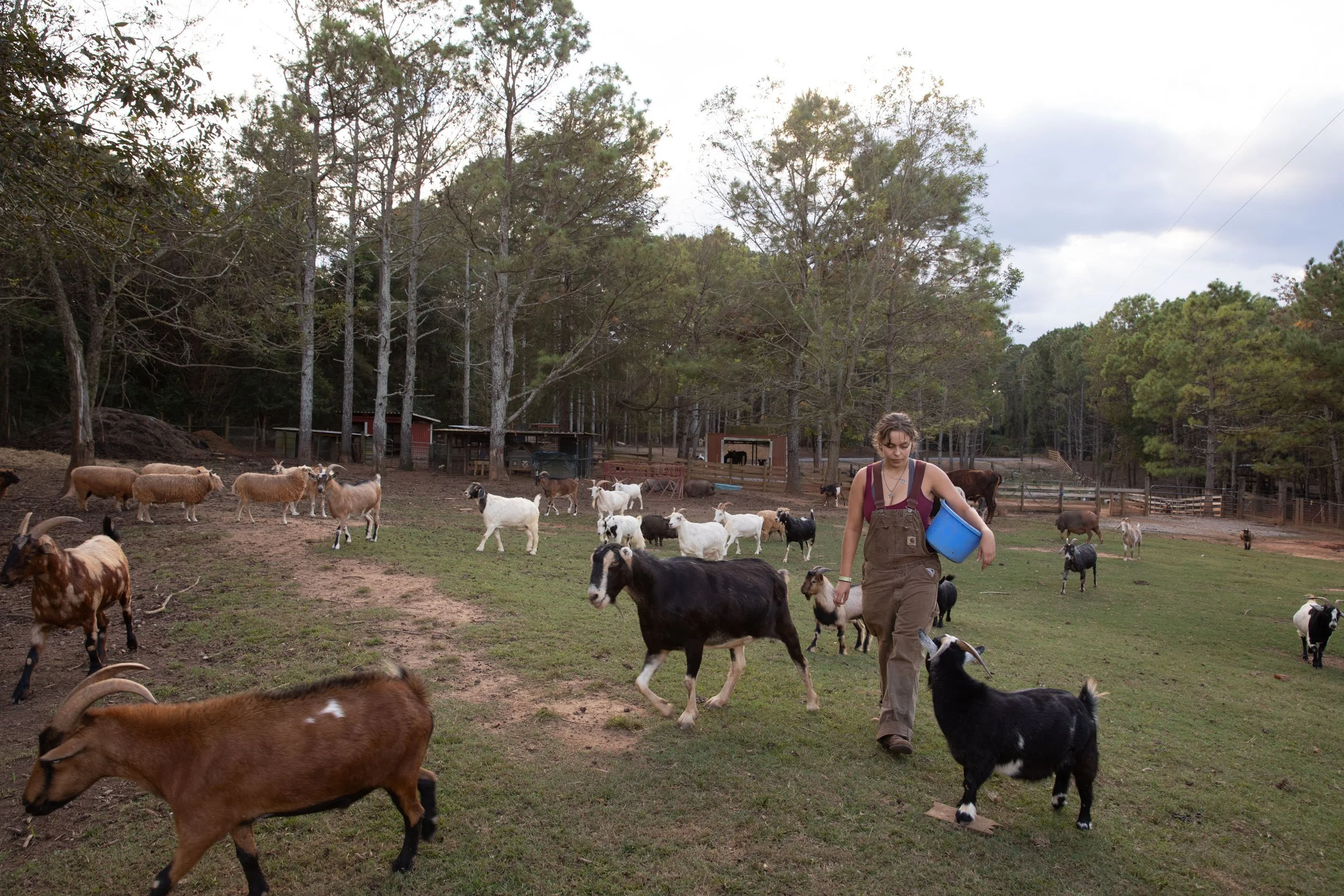 Athens GA advertising photographer google07.jpg