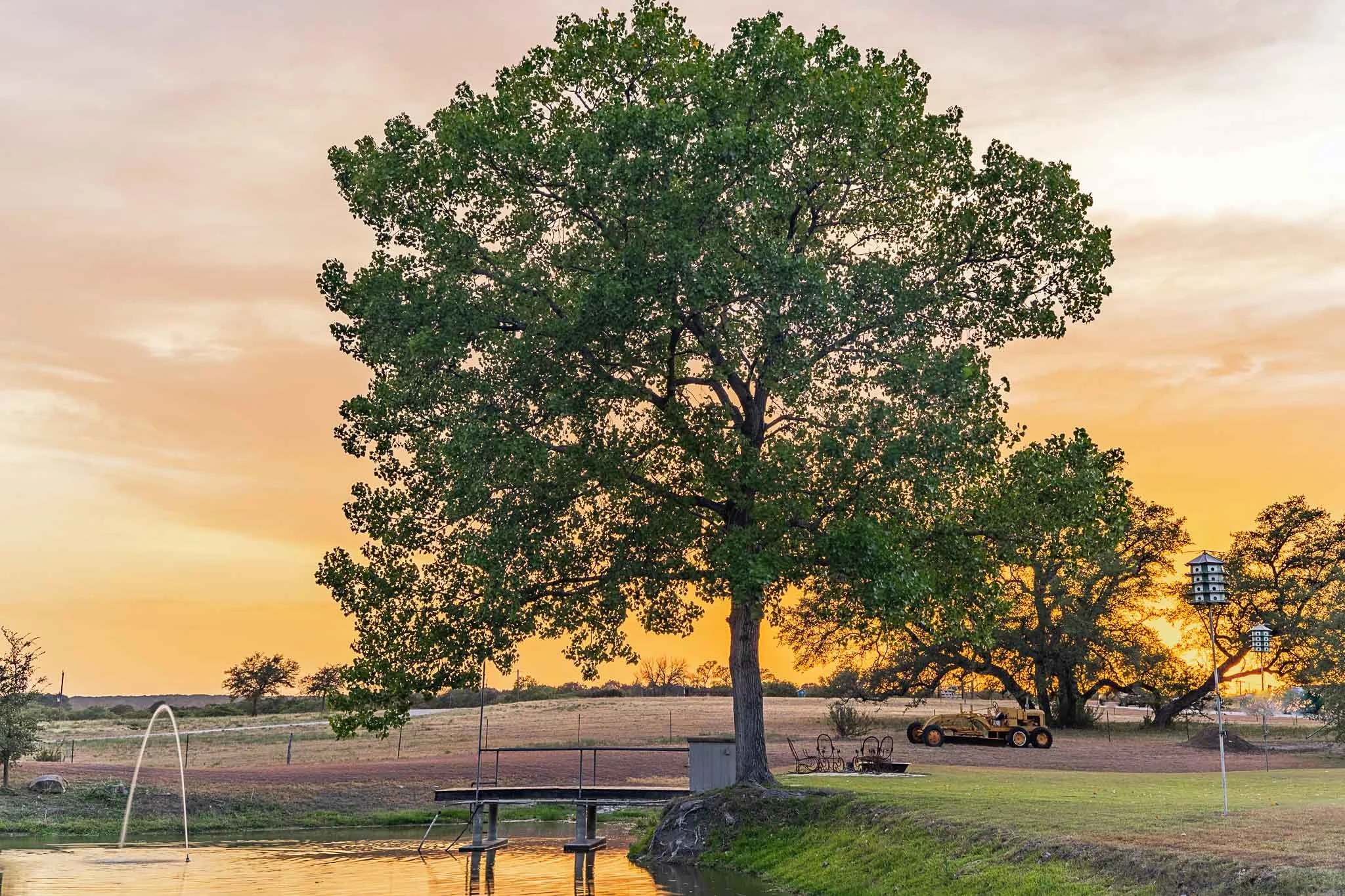 125 Dog Run MLS-53.JPG