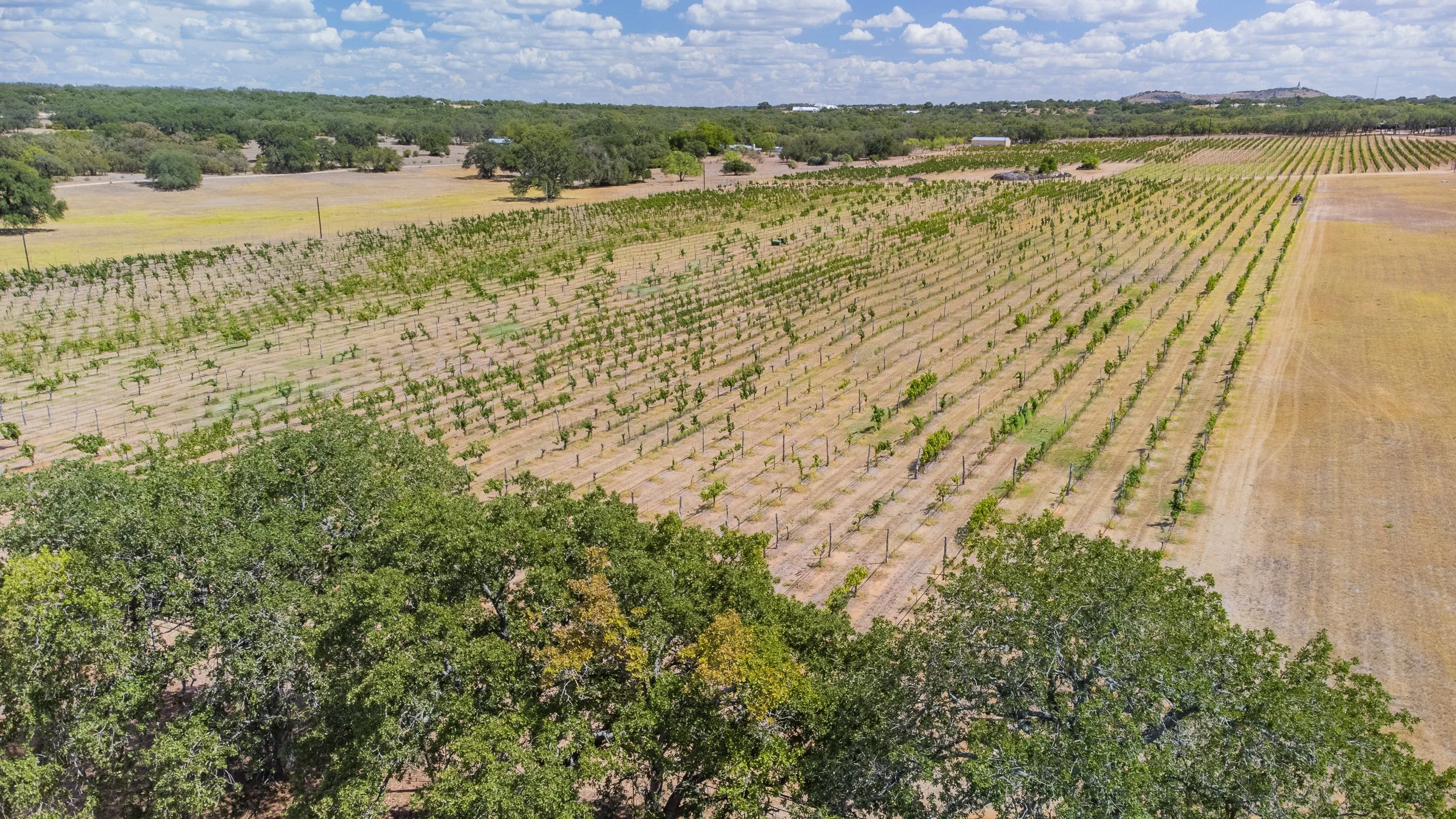 319 WINTERS FURR ST-37.JPG