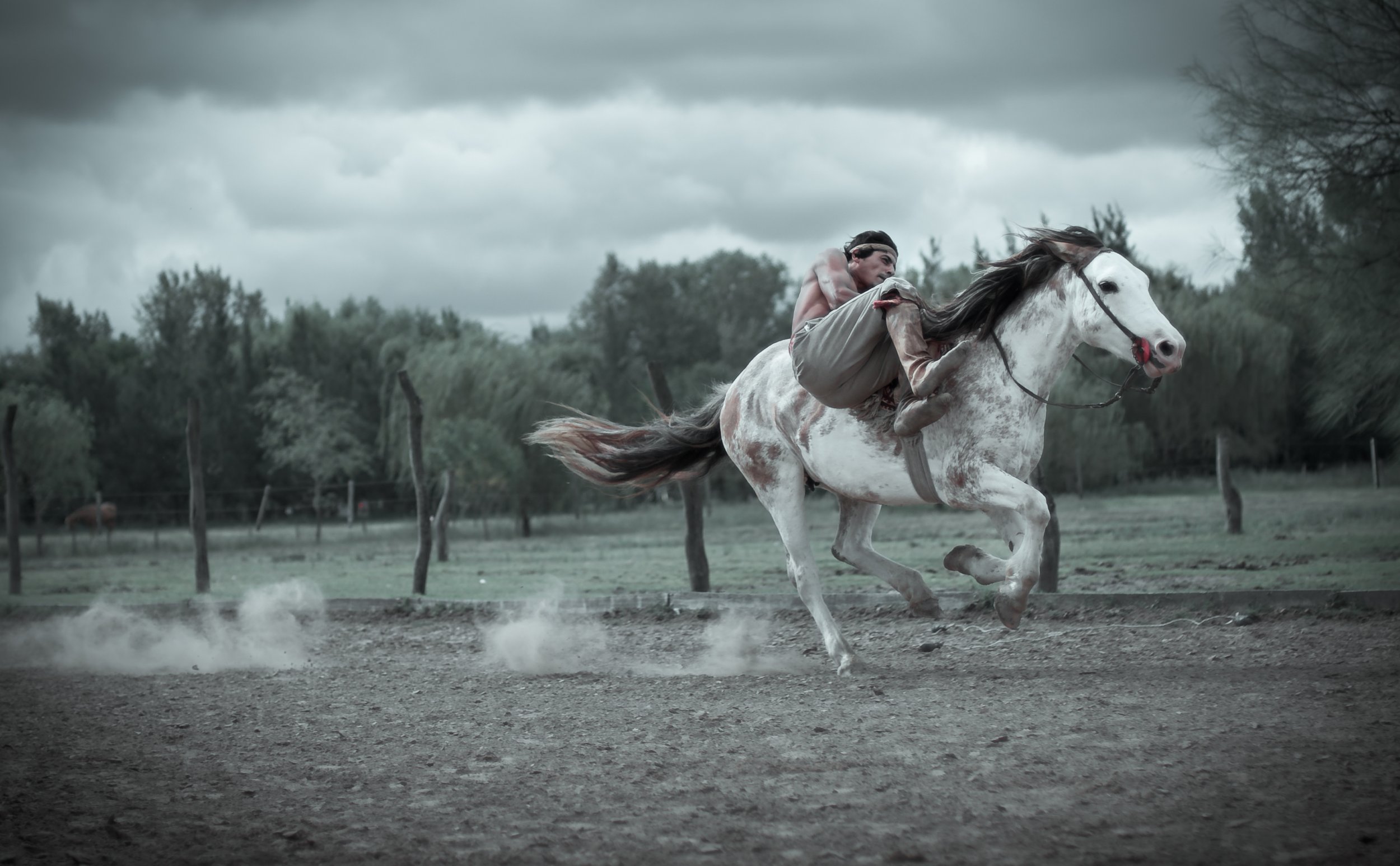 20110325-gaucho-147_master-2.jpg