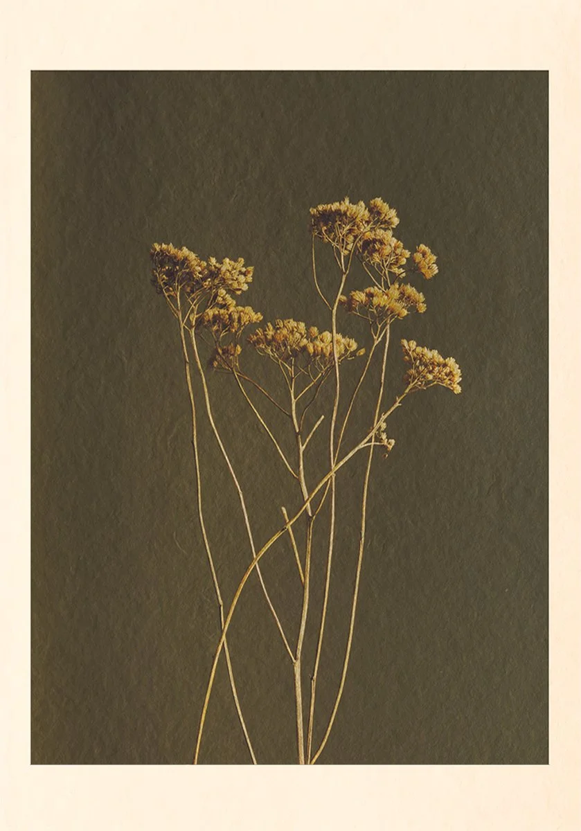 Grass_2 copy.jpg