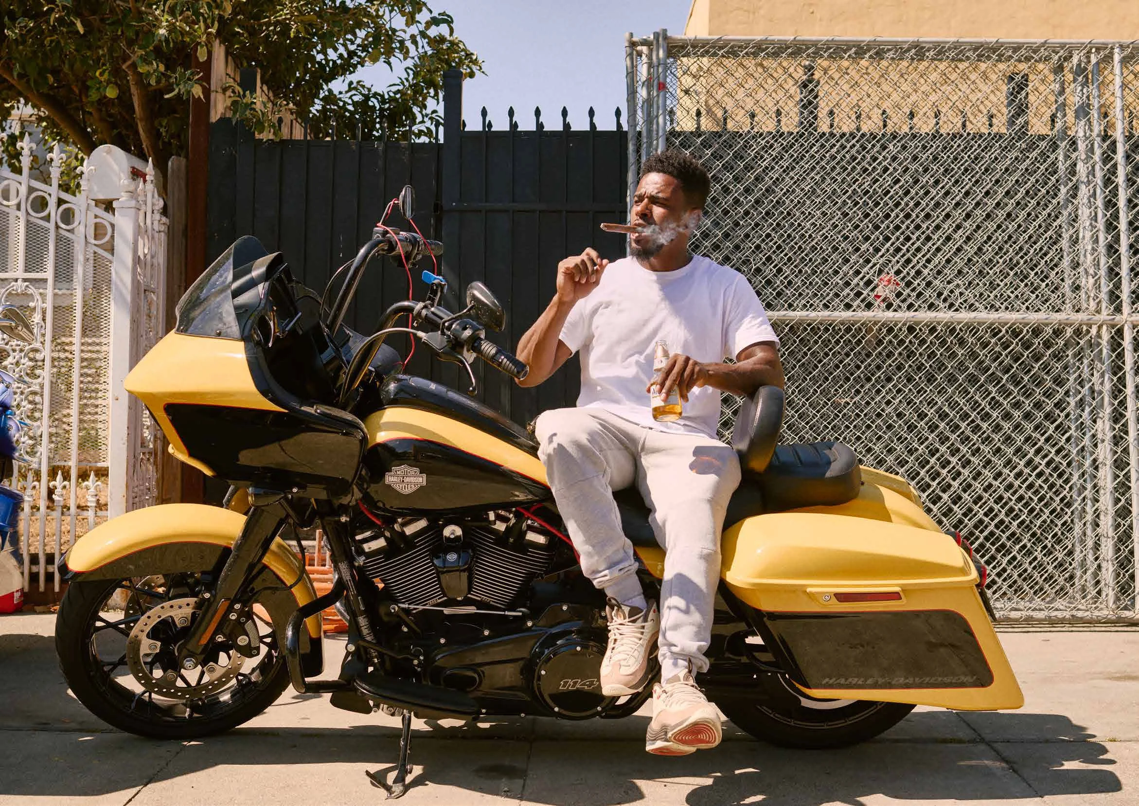 DRAGONS_sample-18 copy.jpg