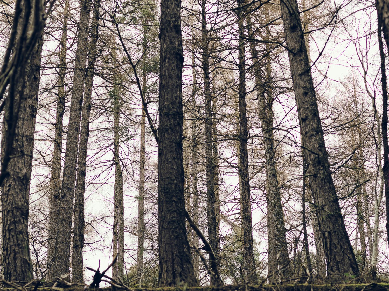 NH_ABERLOUR_SHOOT_0051.jpg