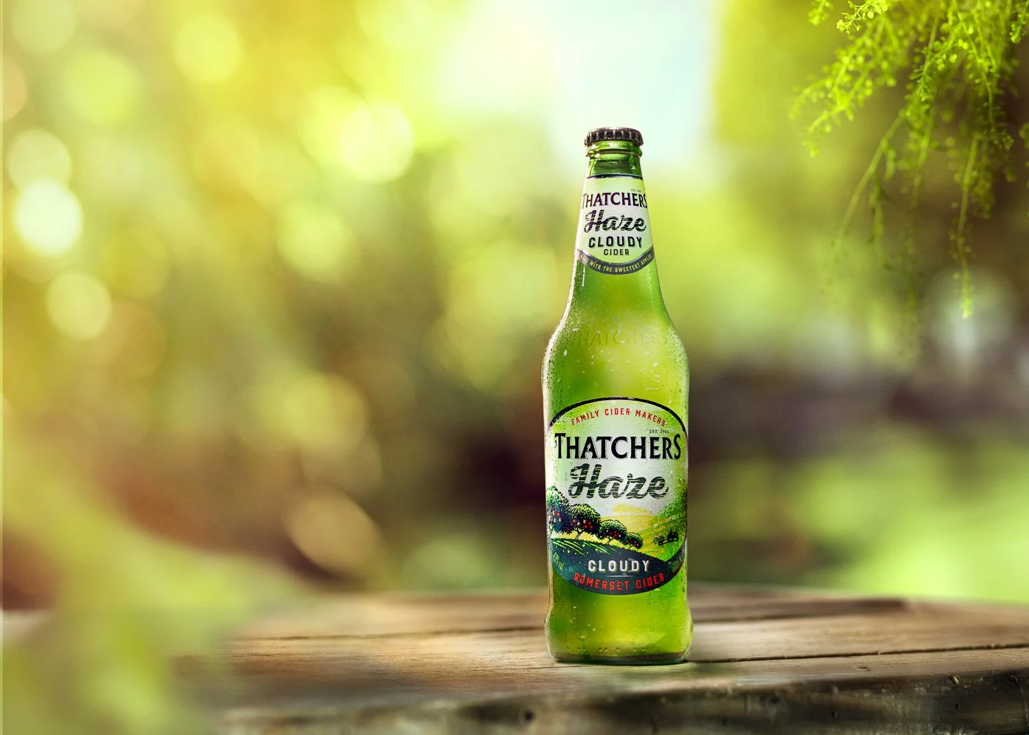 NH_THATCHERS_S7.jpg