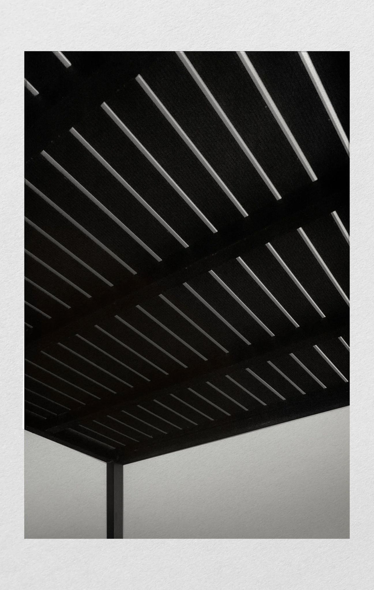 NH_Aug 02 2025_223.jpg