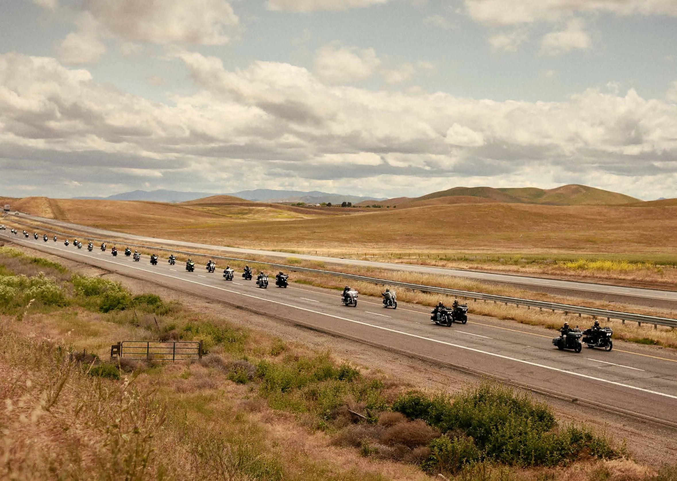 DRAGONS_sample-2 copy.jpg